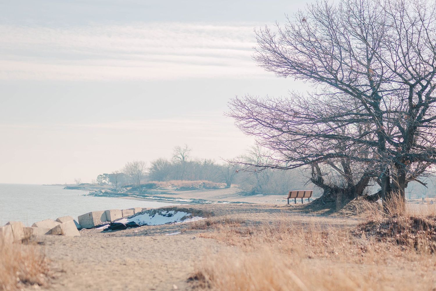 Misty winter beach landscape with bare trees and boats in the distance.