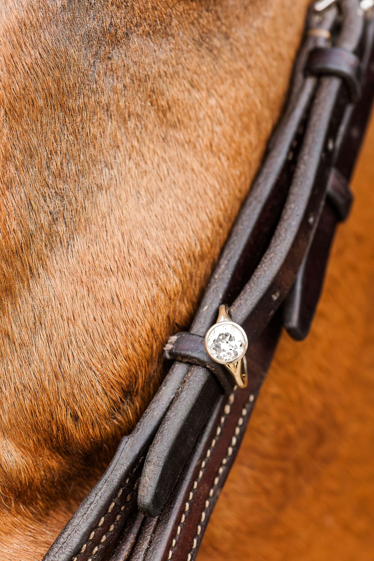 Close up of diamond ring detail on brown leather horse bridle.