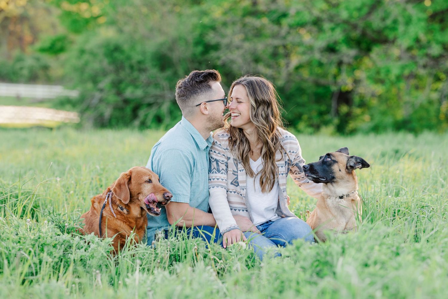 Engagement session with dogs in the grass at St. James Farm Preserve in Warrenville.