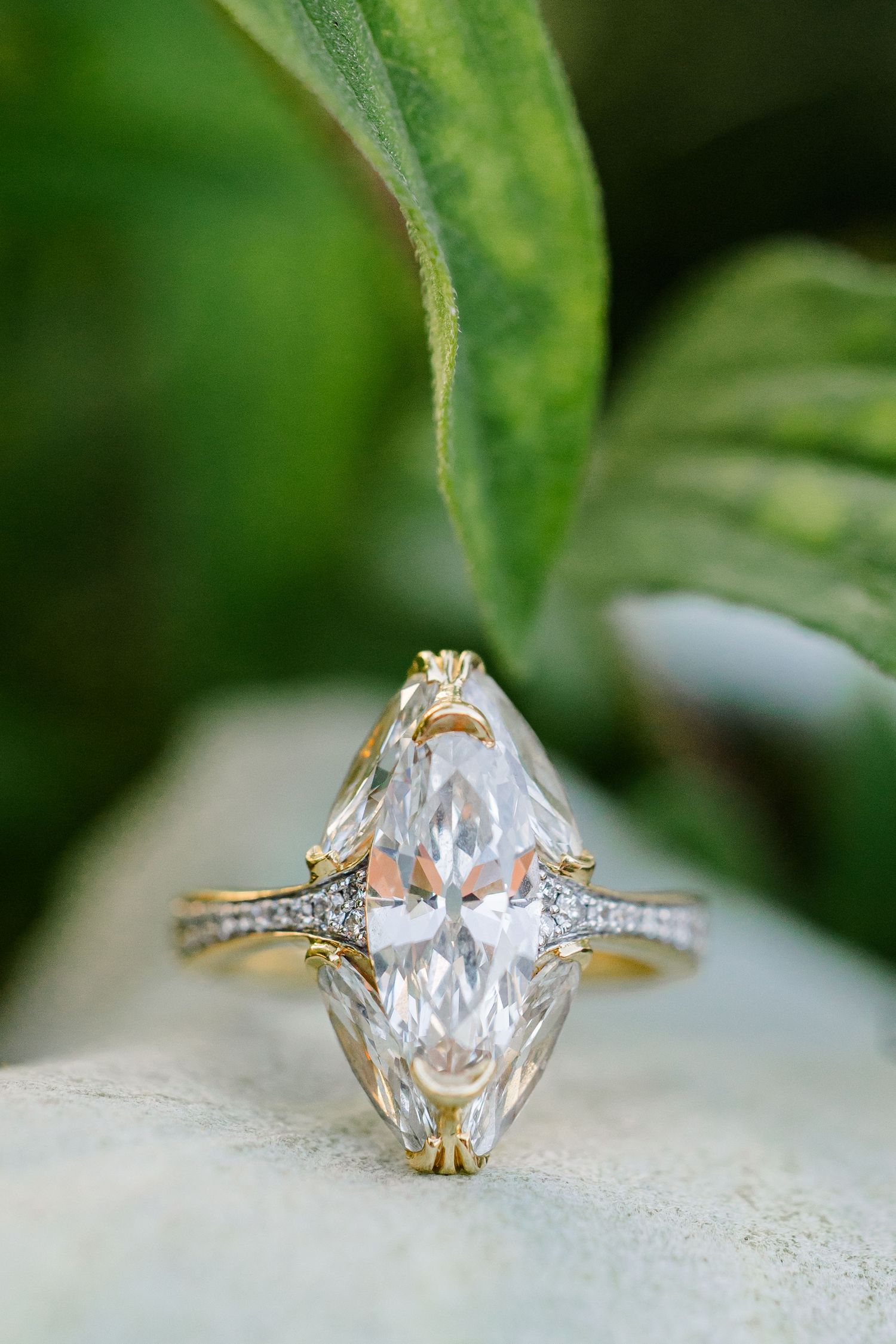 Large marquise diamond engagement ring in gold setting displayed against green leaves.