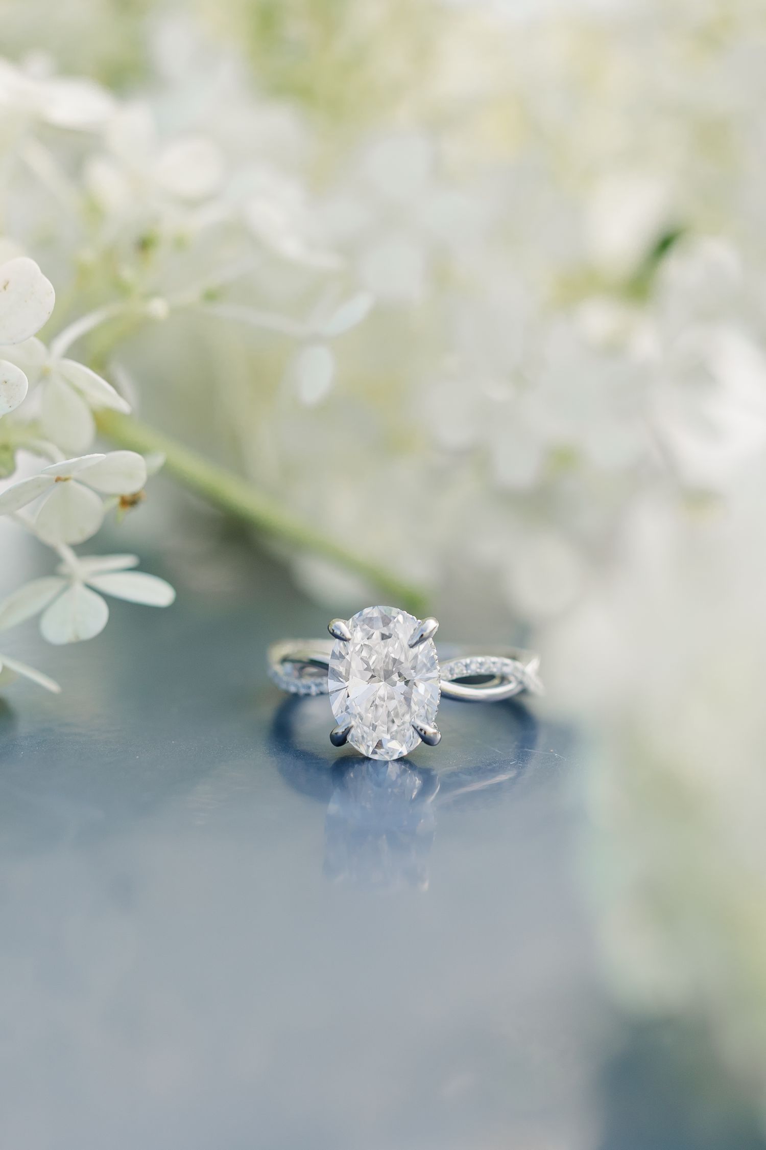 Alysia’s engagement ring displayed beside soft white flowers at Cantigny Park.