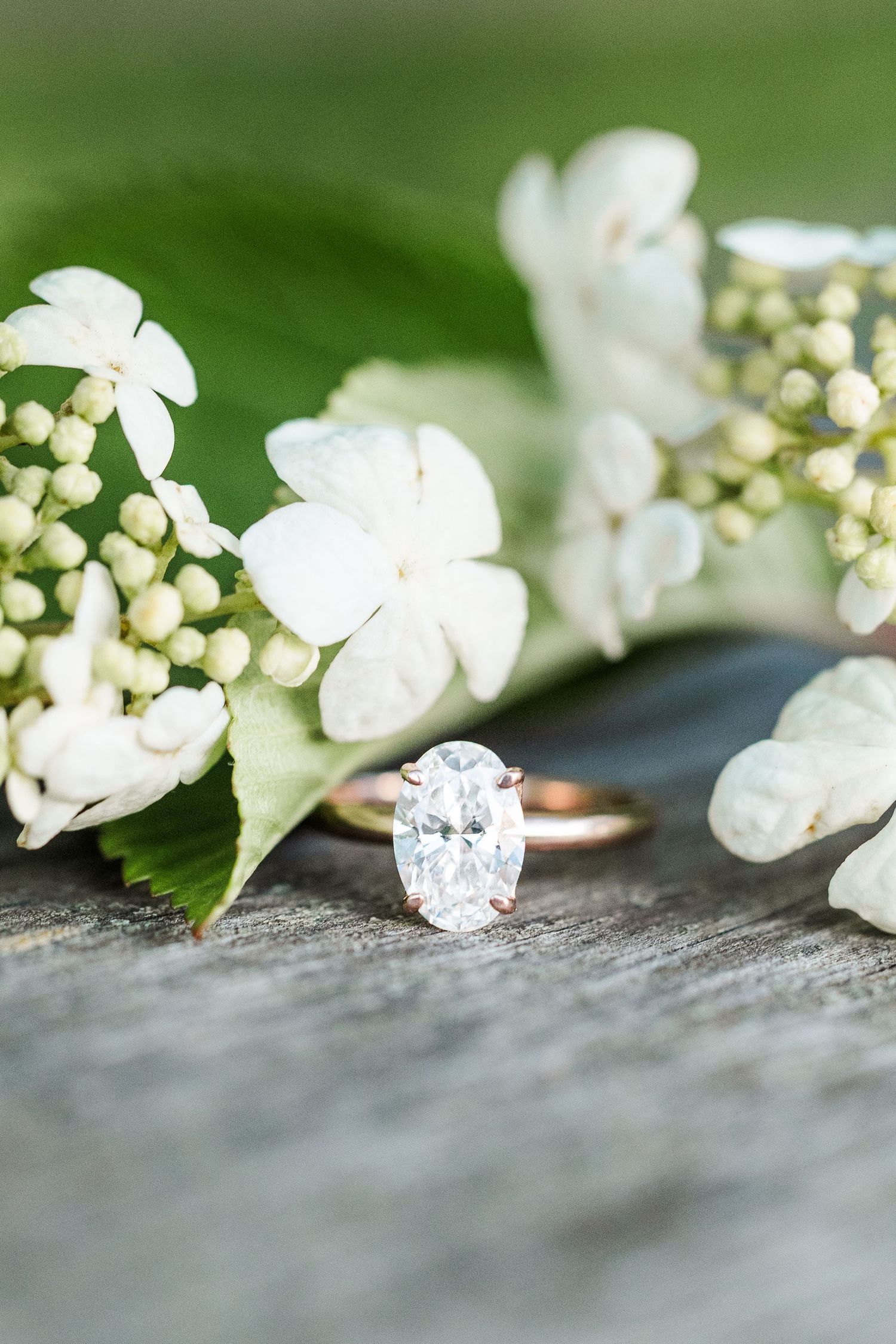 Engagement ring detail with white flowers during a Cantigny Park engagement session