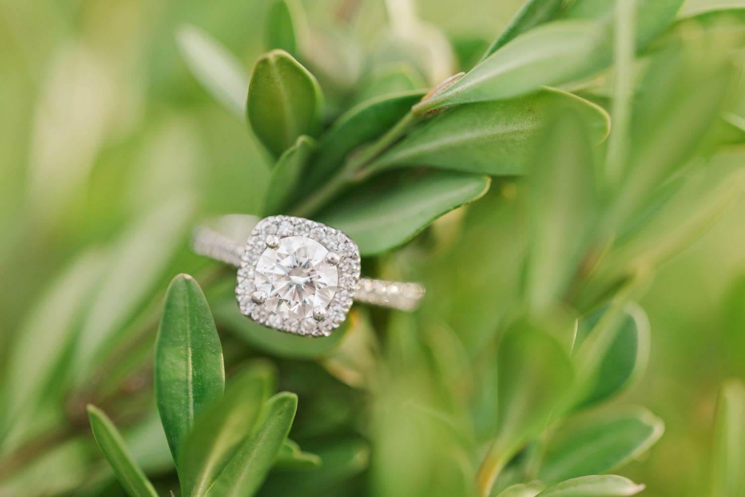 Spring Engagement Portrait Session at Cantigny Park in Winfield, Illinois