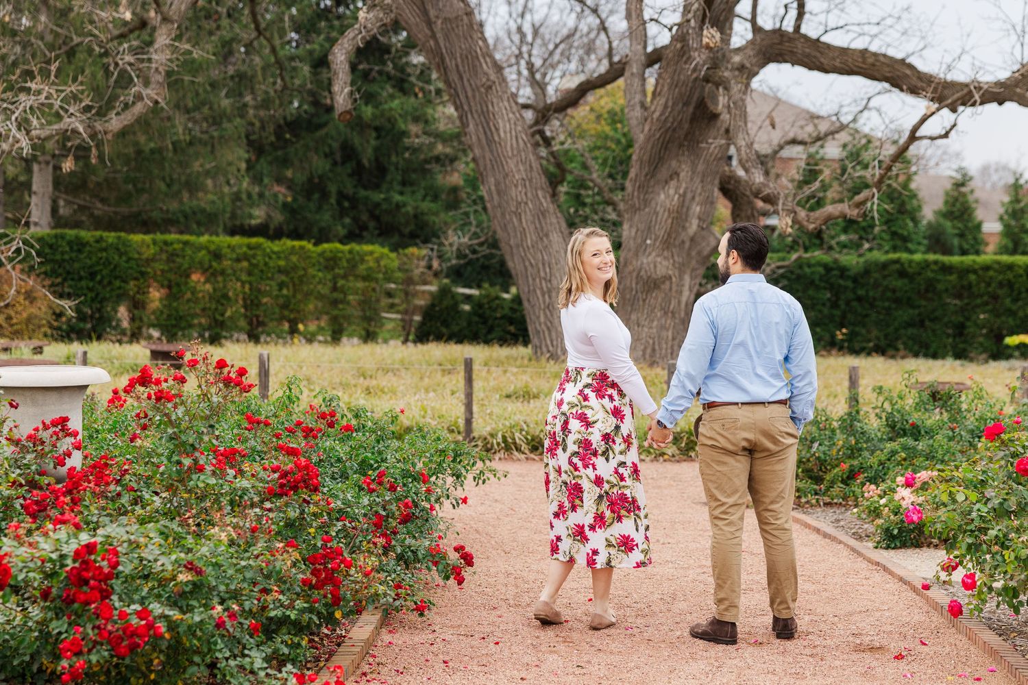 Couple in the rose garden at Cantigny Park in wheaton IL