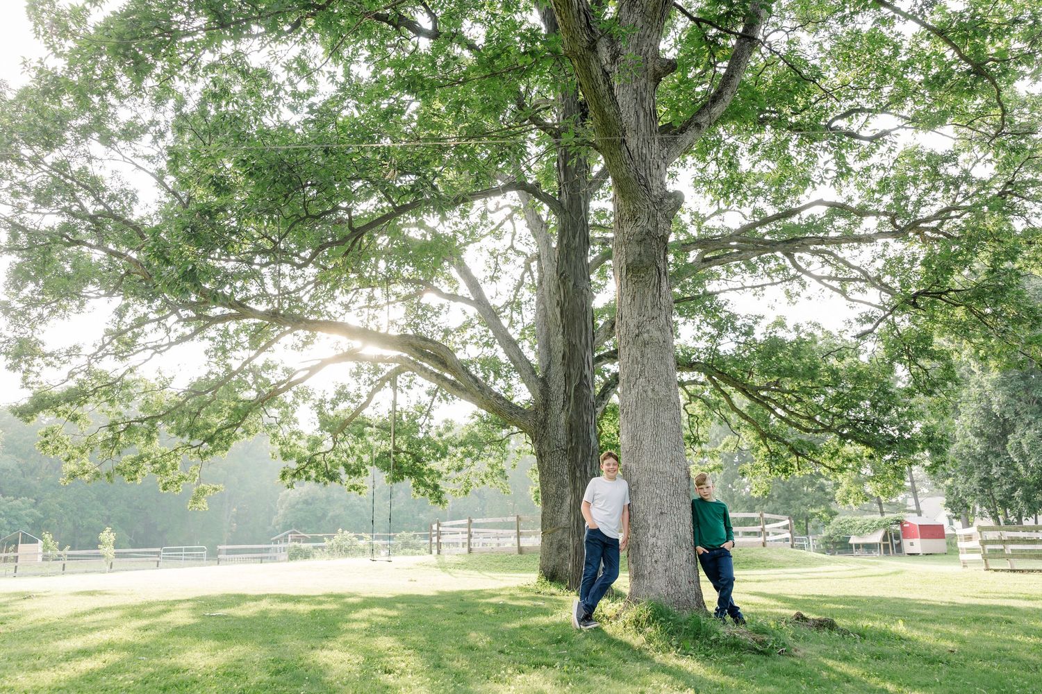 Brothers standing beneath a large tree.
