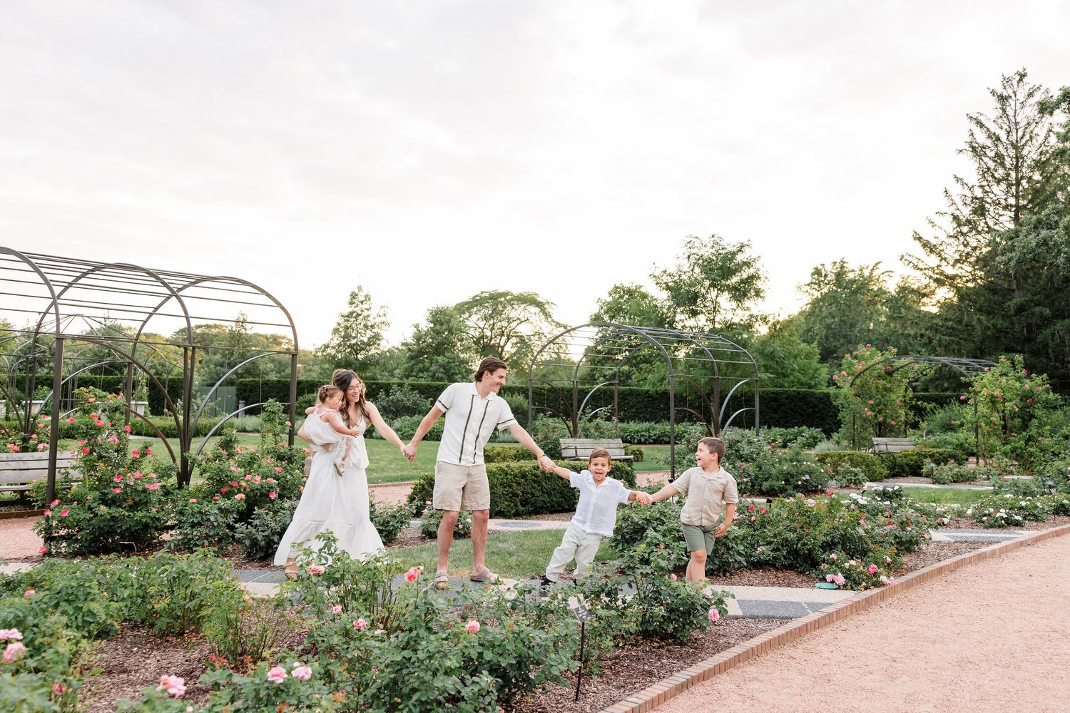 Family of four playing and spinning in a beautiful rose garden with arched trellises at dusk.