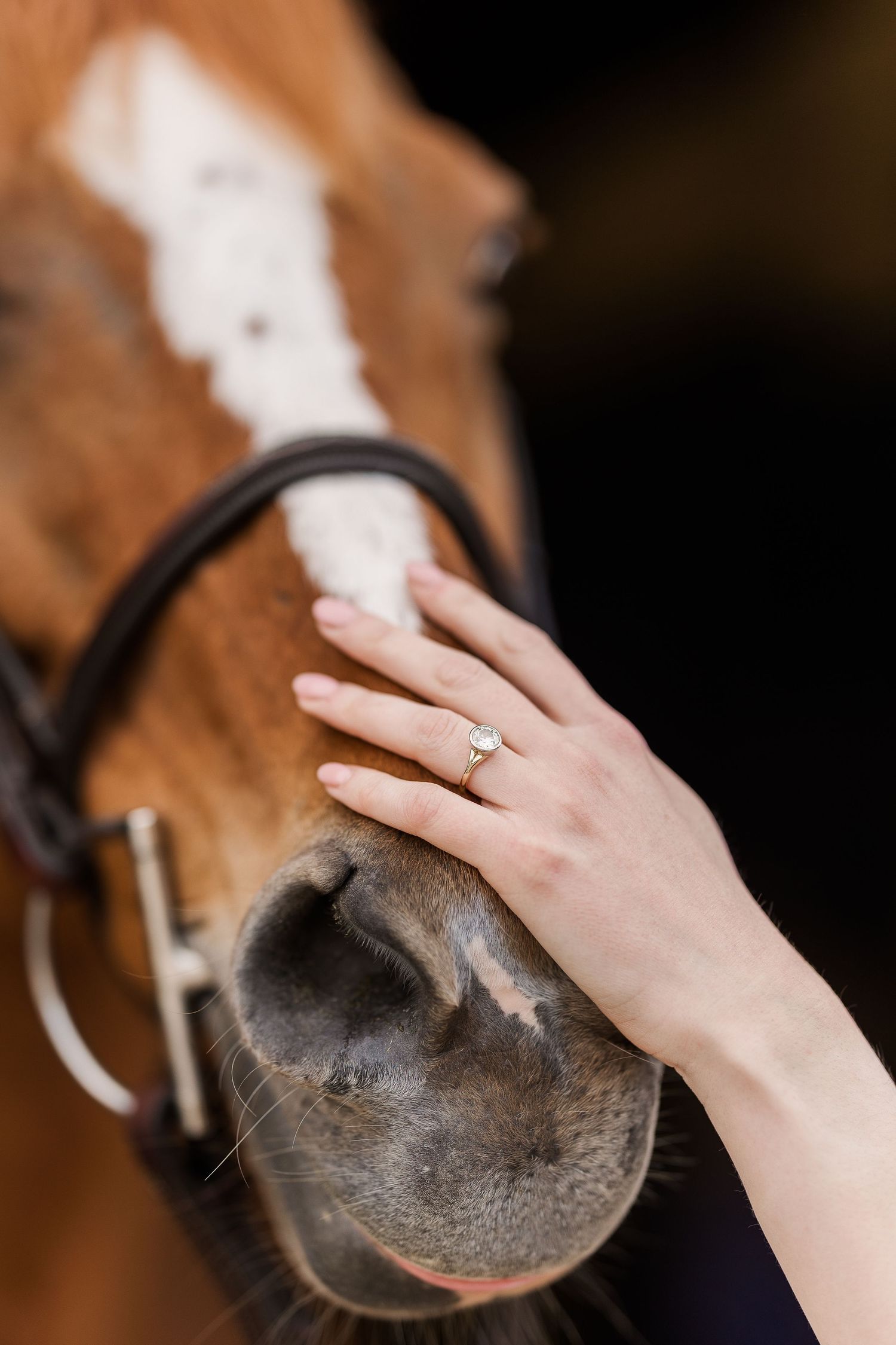 A hand wearing an engagement ring gently touches a chestnut horse's nose.