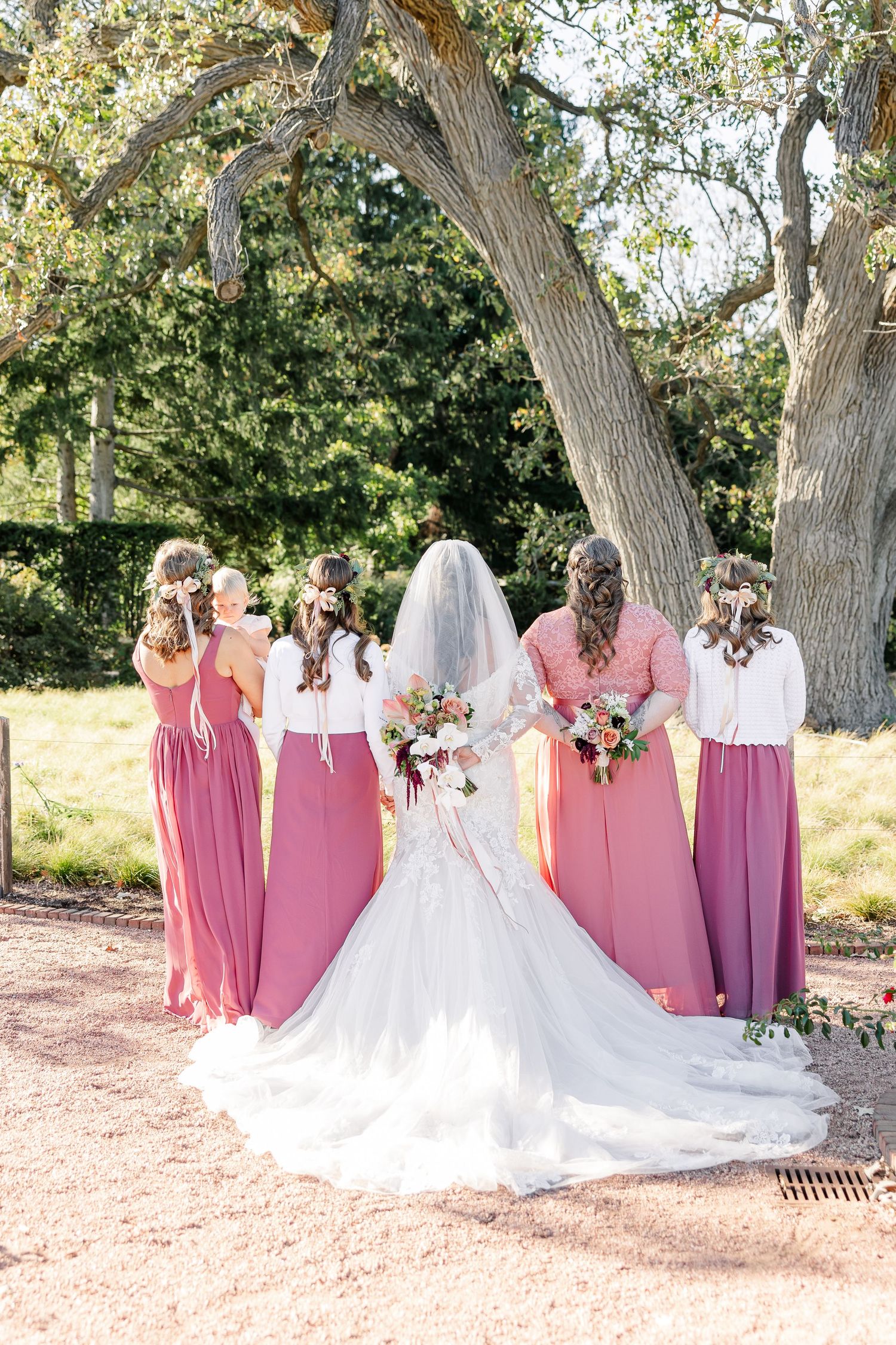 Bride in a lace wedding gown with a long veil stands facing away, surrounded by bridesmaids in pink dresses beneath a large oak tree.