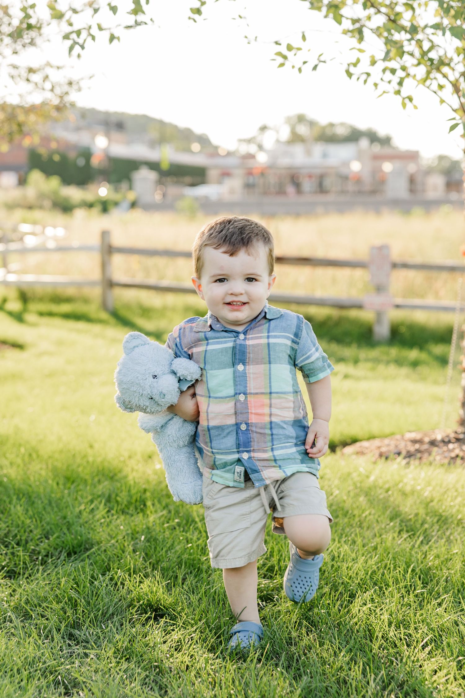 Toddler boy in plaid shirt carrying a stuffed elephant toy while walking on green grass outdoors.