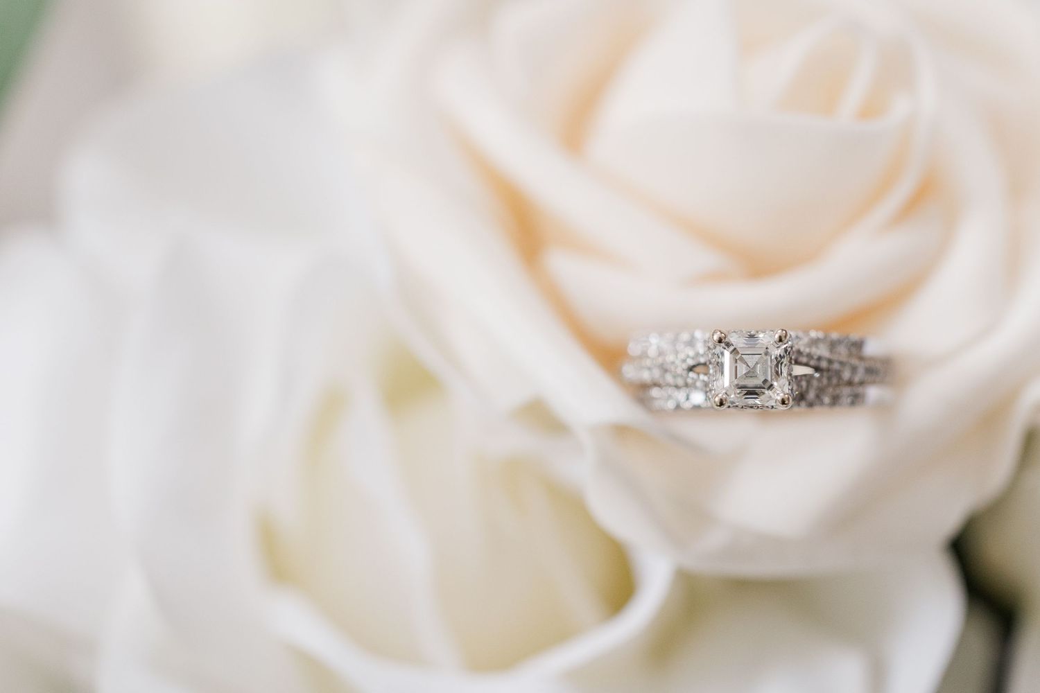 Diamond engagement ring nestled on white rose petals in soft focus.
