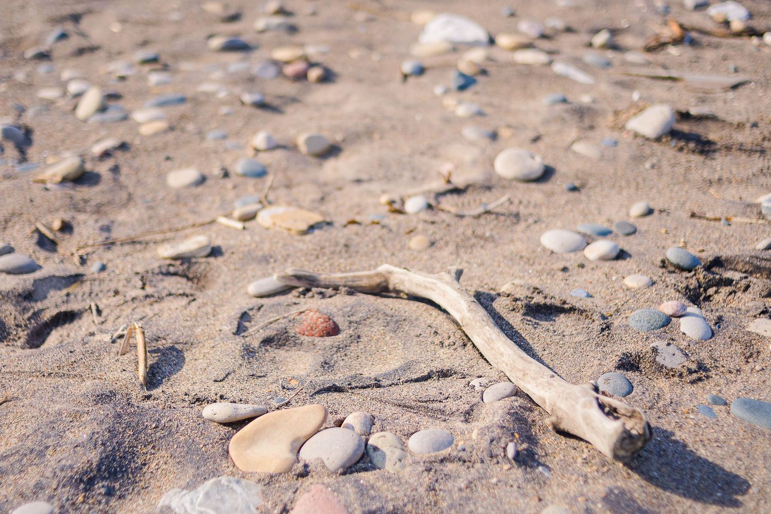 A piece of driftwood lies on a rocky beach with scattered pebbles and sand.