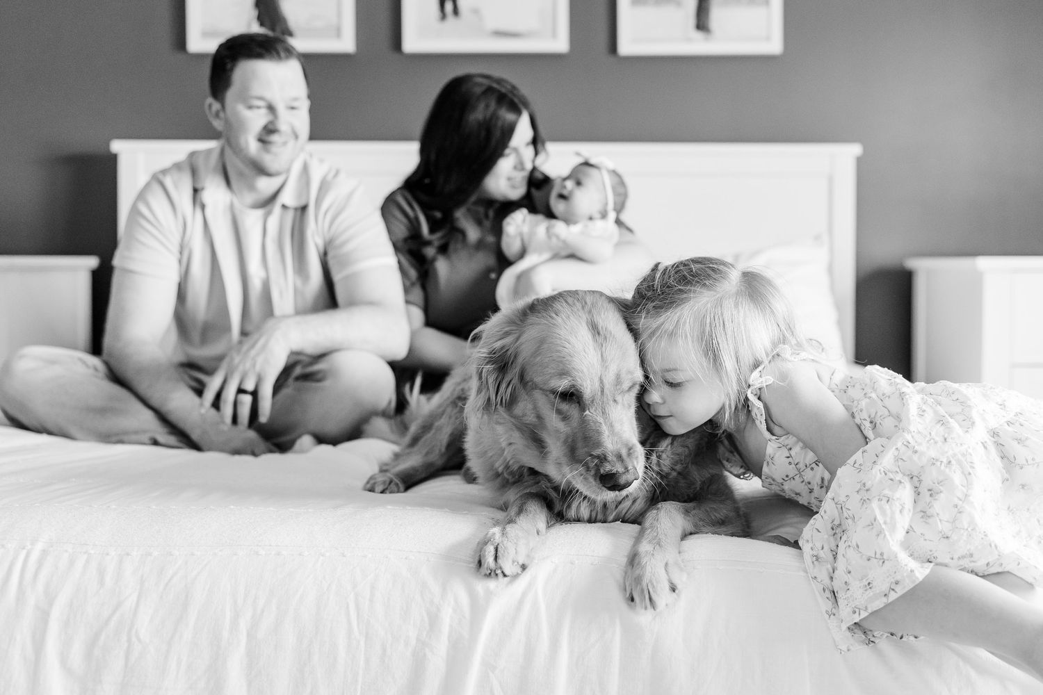 Black and white family newborn photo with parents, big sister, baby girl, and golden retriever snuggled on the bed