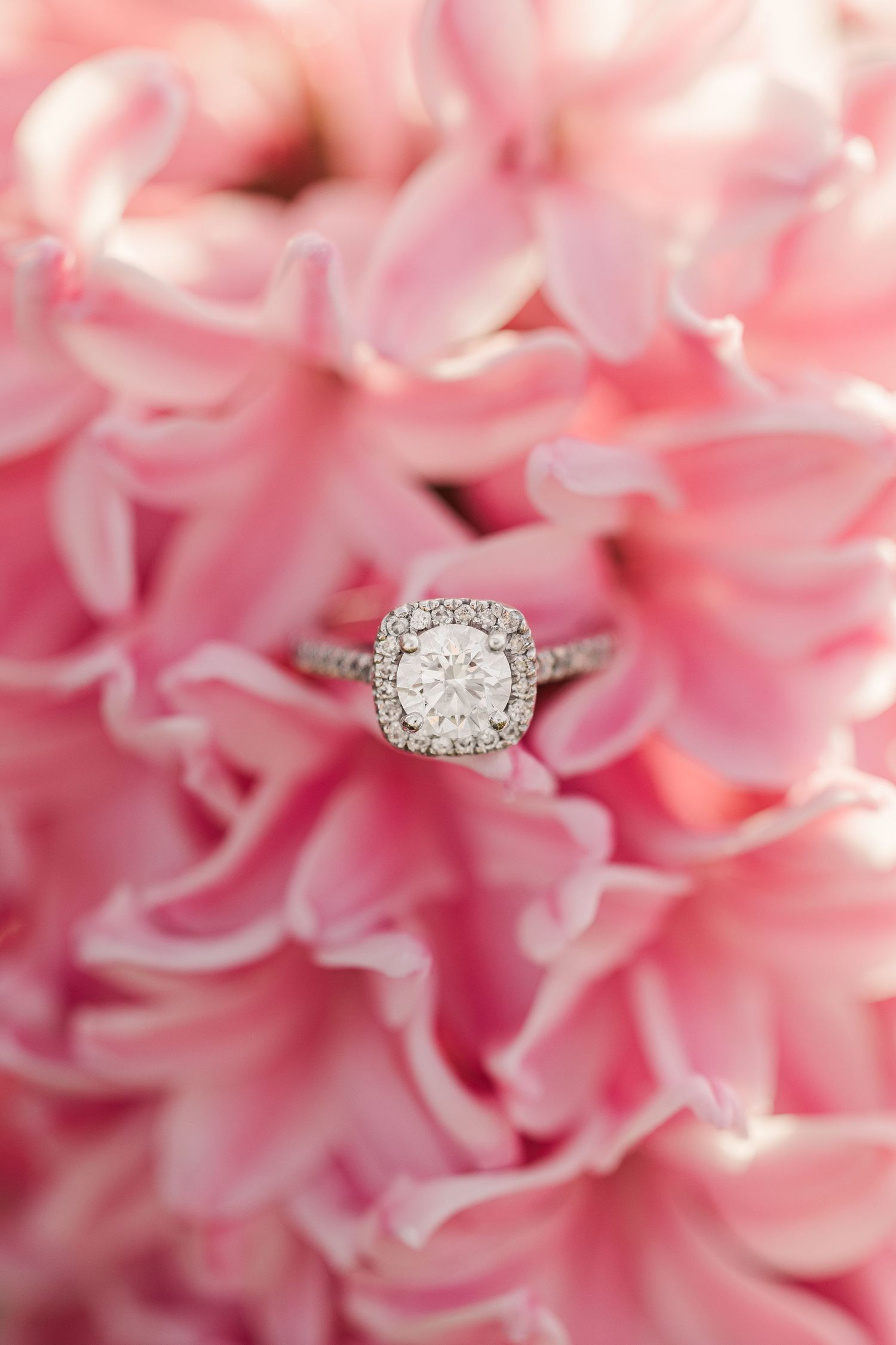 Spring Engagement Portrait Session at Cantigny Park in Winfield, Illinois