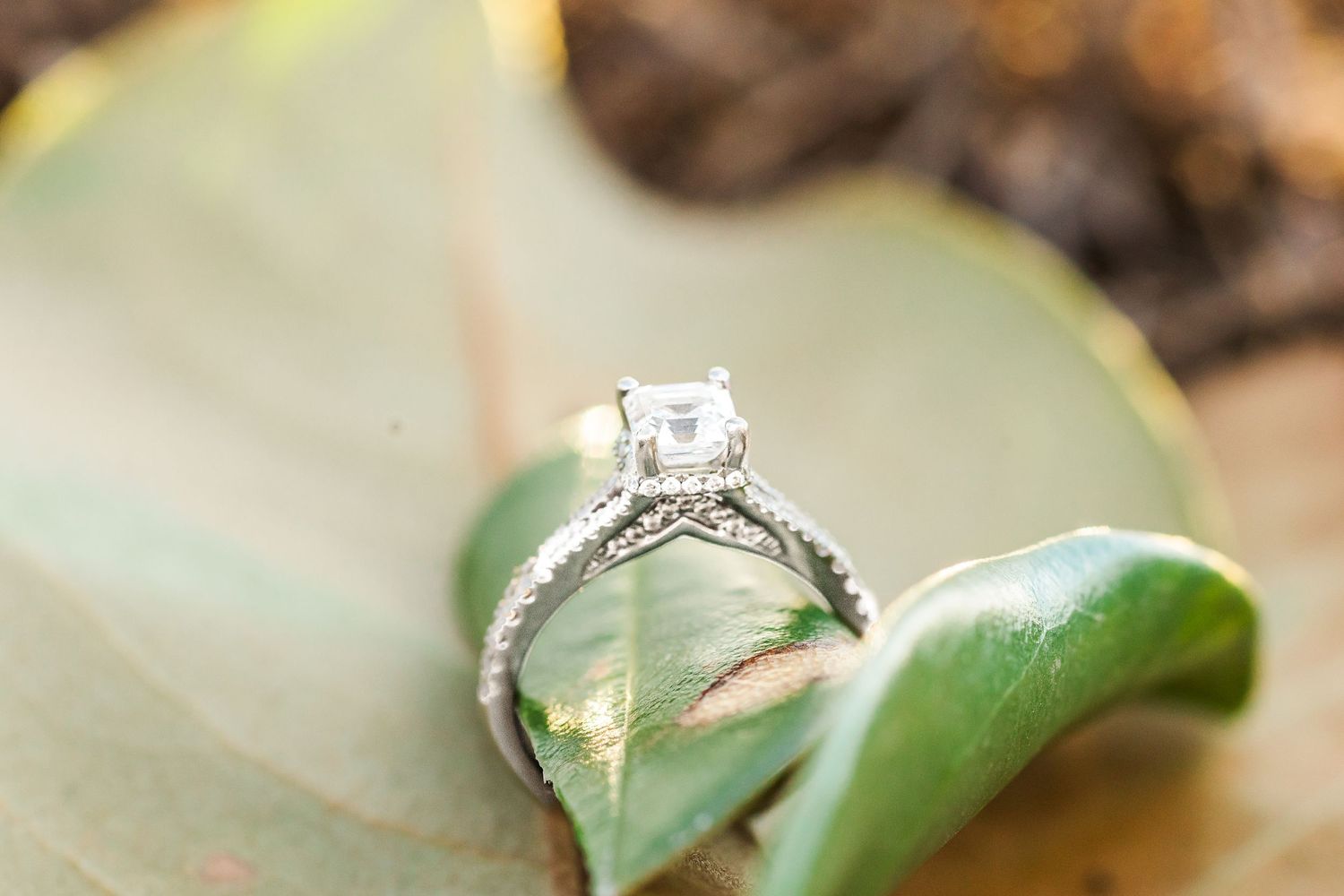 Diamond engagement ring resting on a green leaf with sparkling details.
