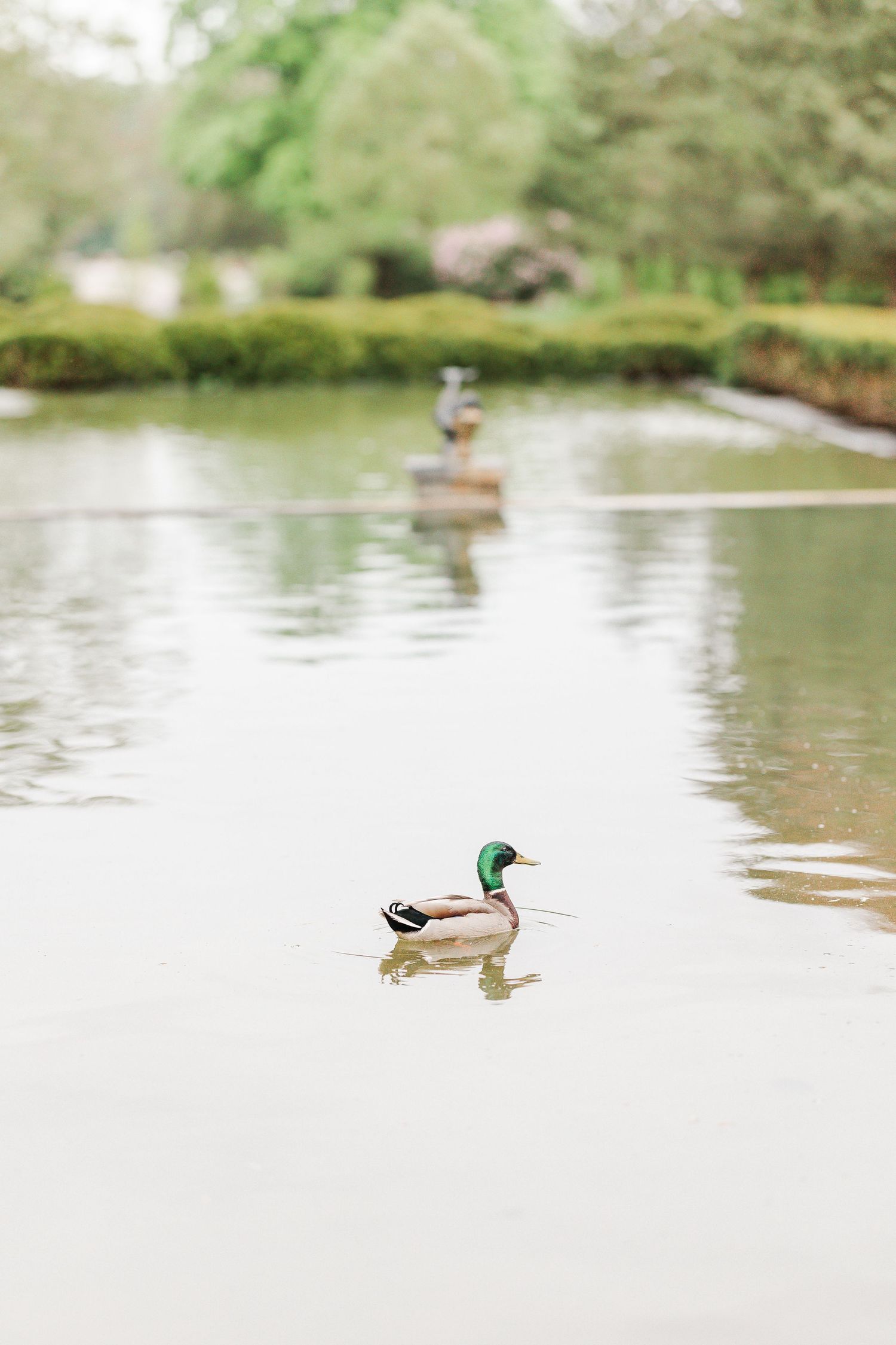 Cantigny Park Spring Engagement Session