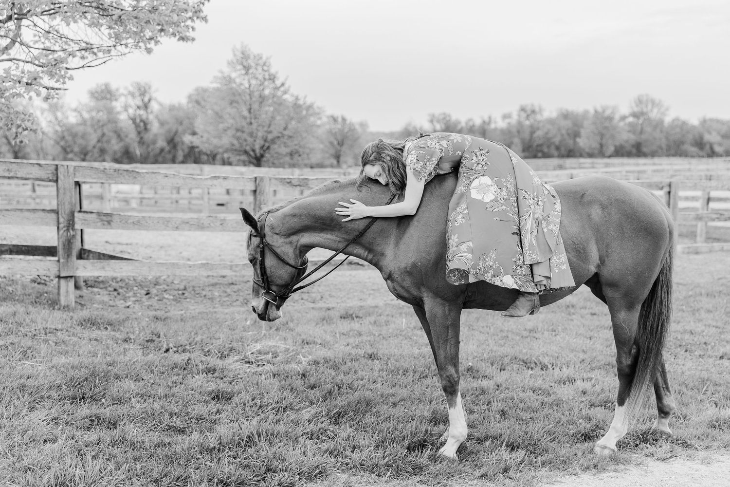 Black and white photo of someone laying on a horse in a peaceful countryside setting.