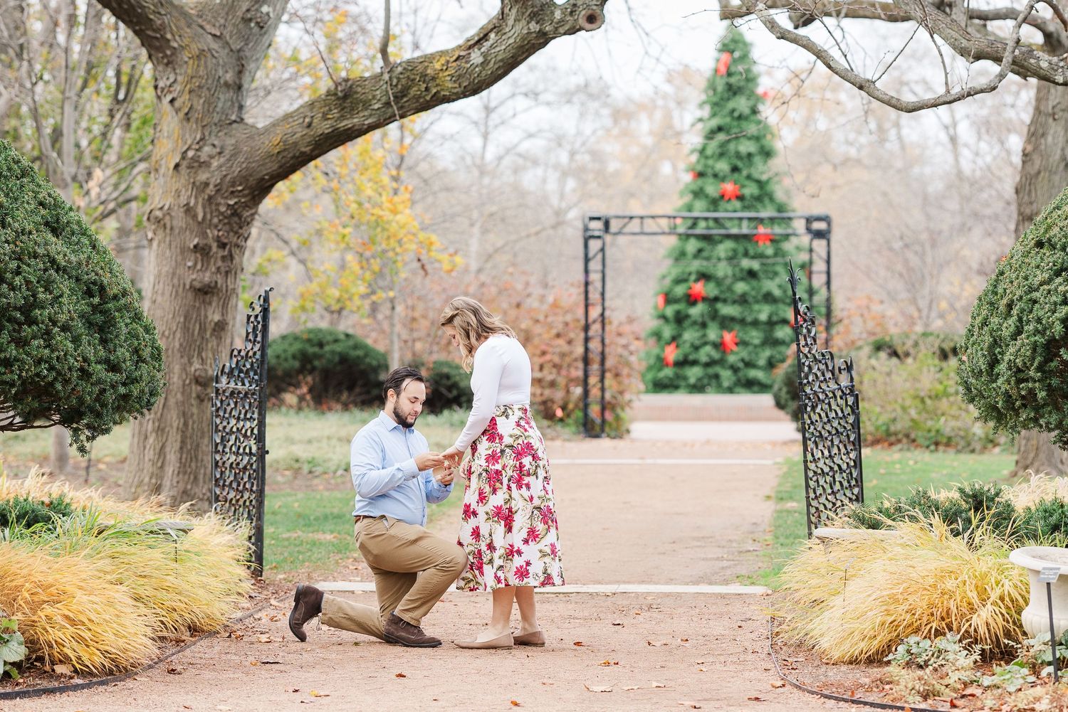 Man proposes to woman in the Keyhole Garden at Cantigny Park in Wheaton, IL
