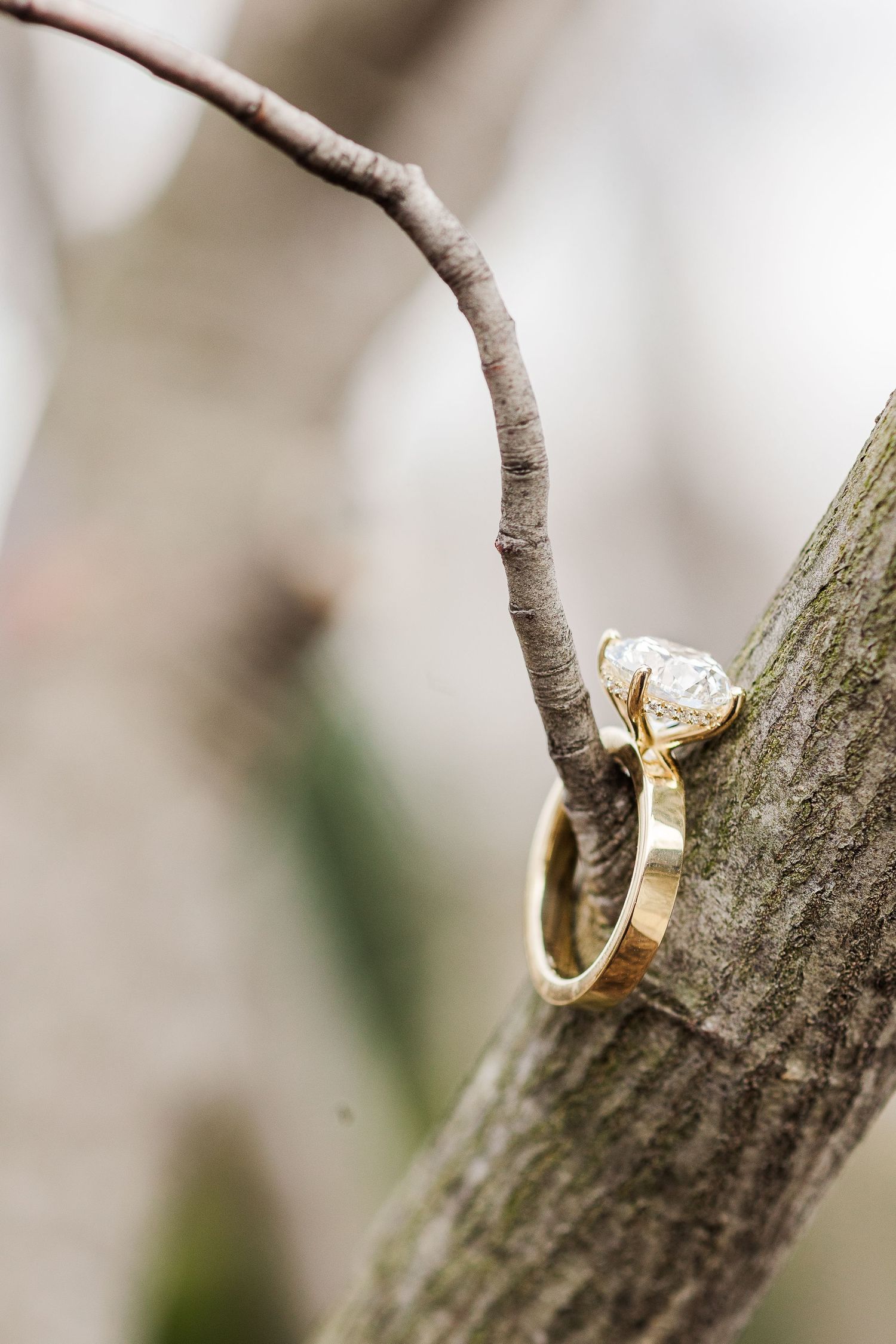 A gold engagement ring with diamond solitaire balanced on a tree branch.