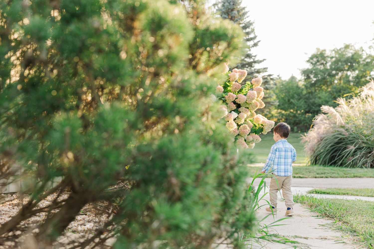 Series of photos showing autumn foliage and path with bright bokeh effects in afternoon sunlight. Sorg family portraits at Shamrock Hills