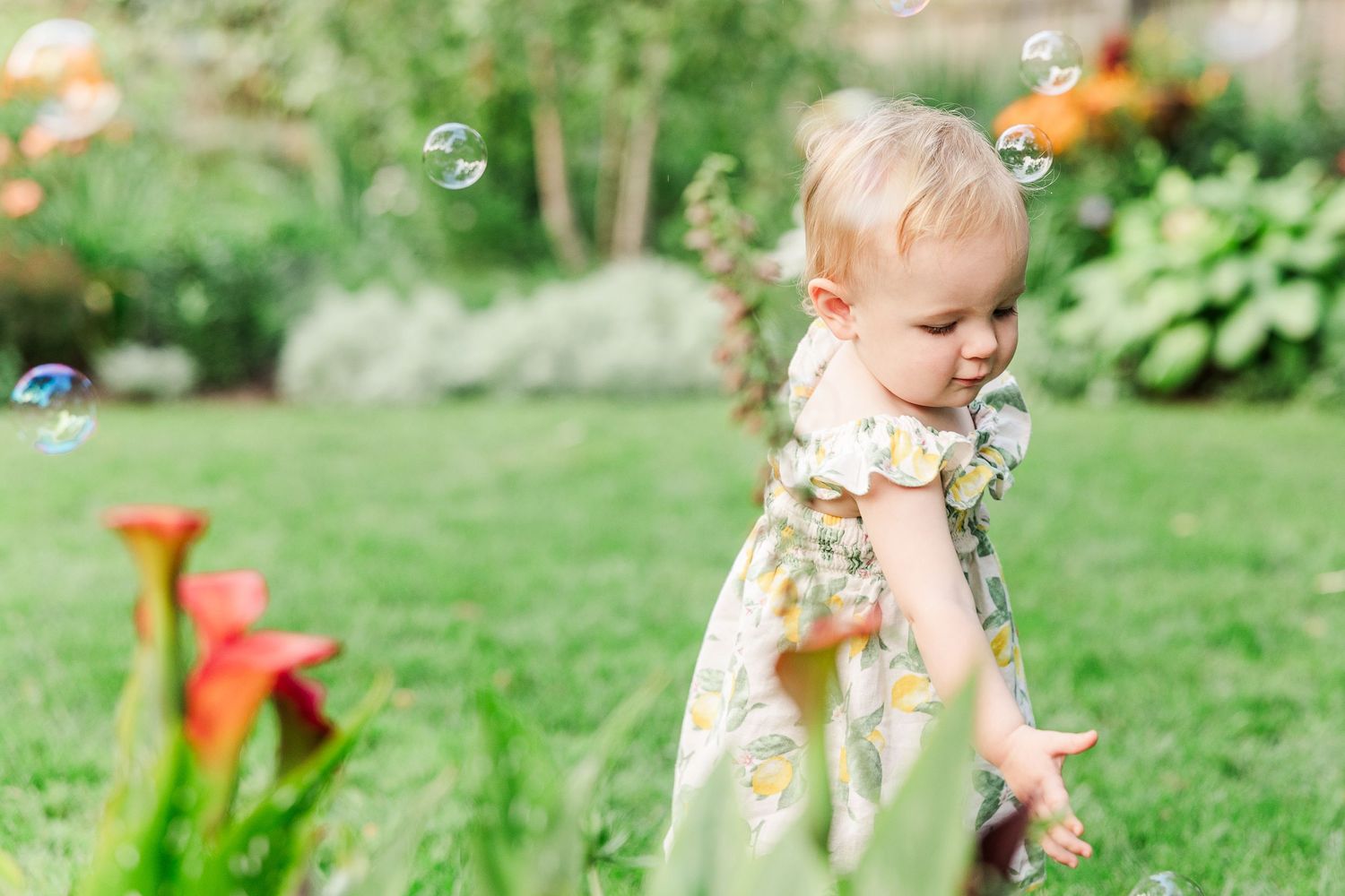 Delightful garden scene with bubbles floating through the air on a sunny afternoon.