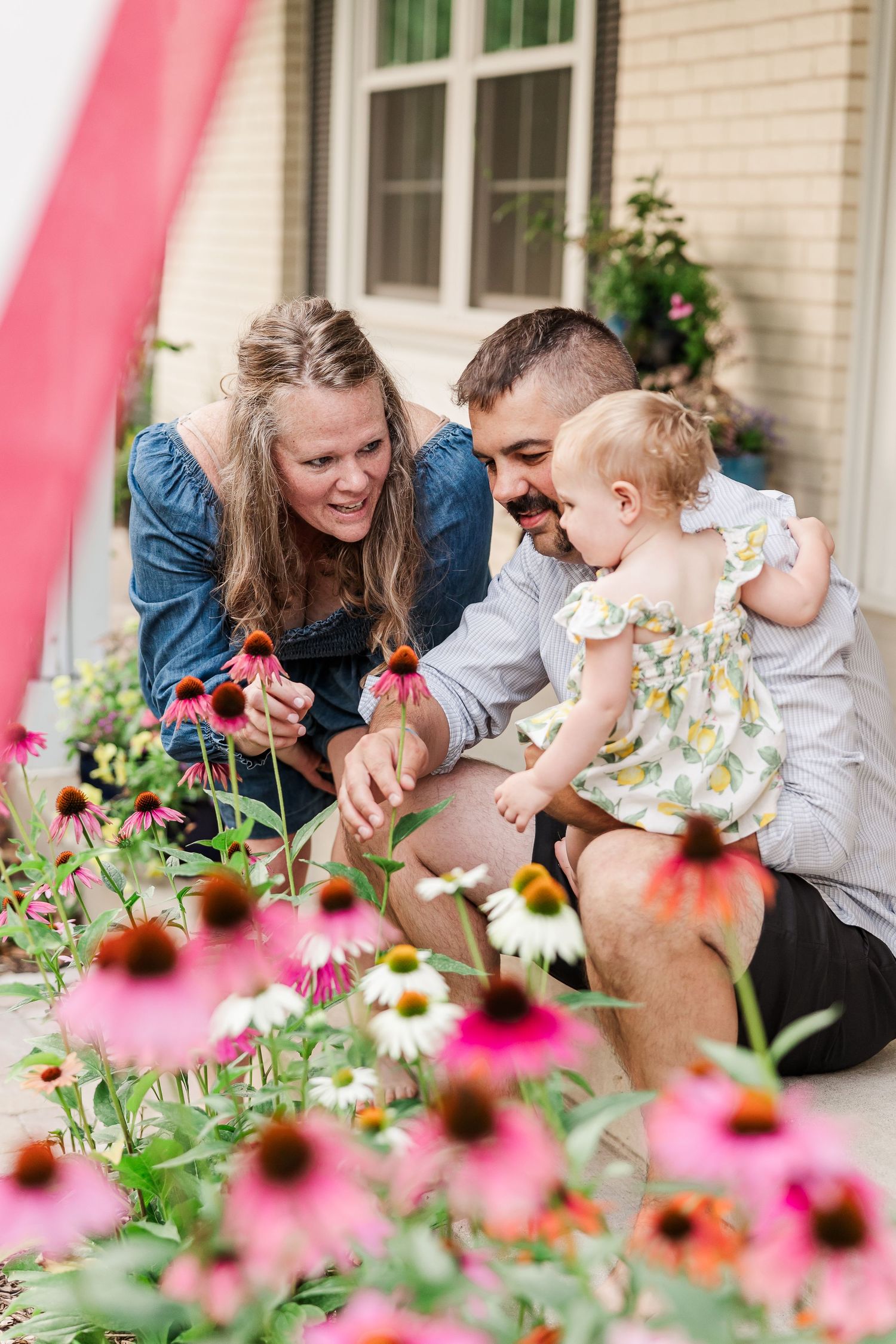 Family admiring pink coneflowers in a garden during summer.