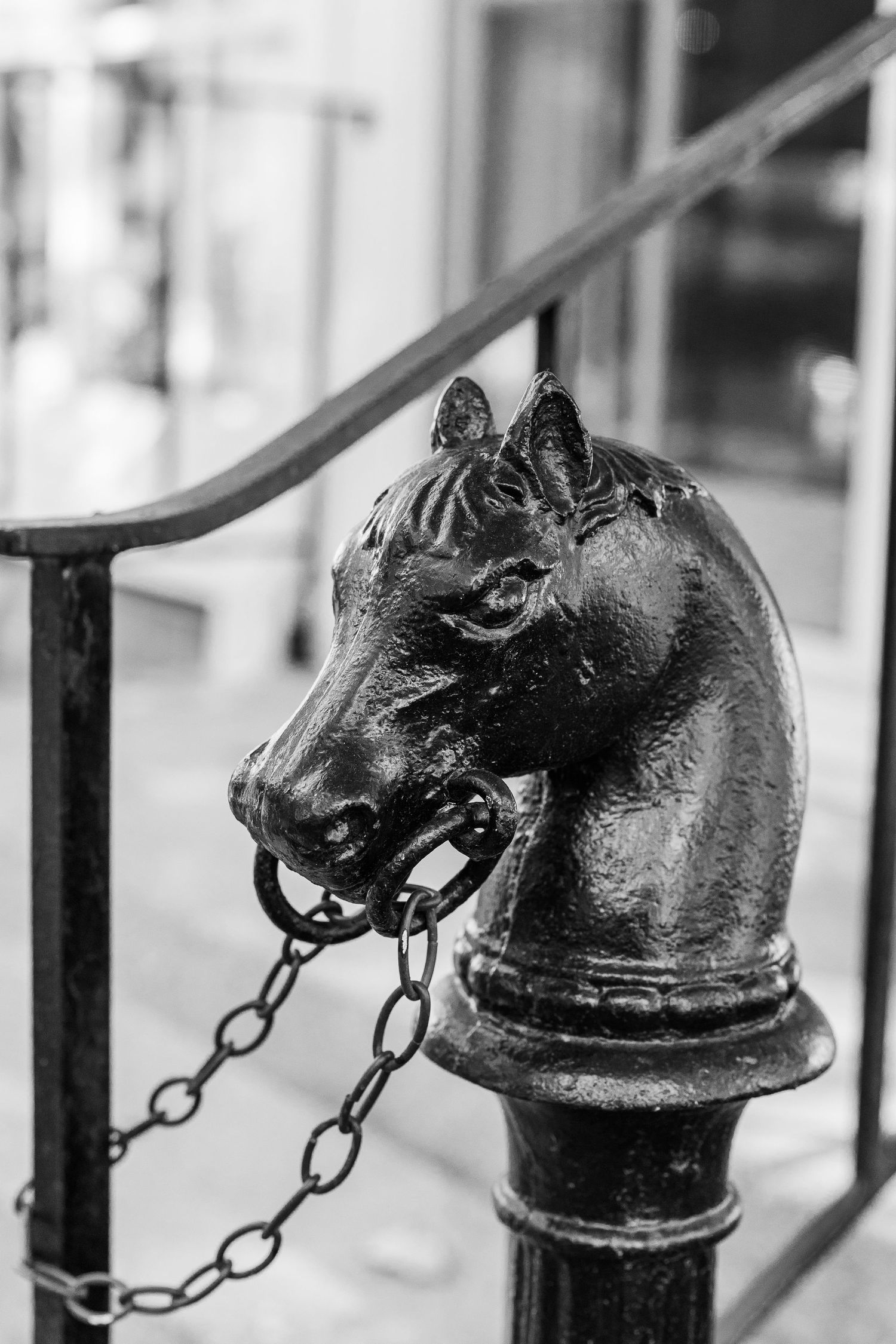 Close-up of vintage decorative cast iron horse head post with chain detail in black and white.