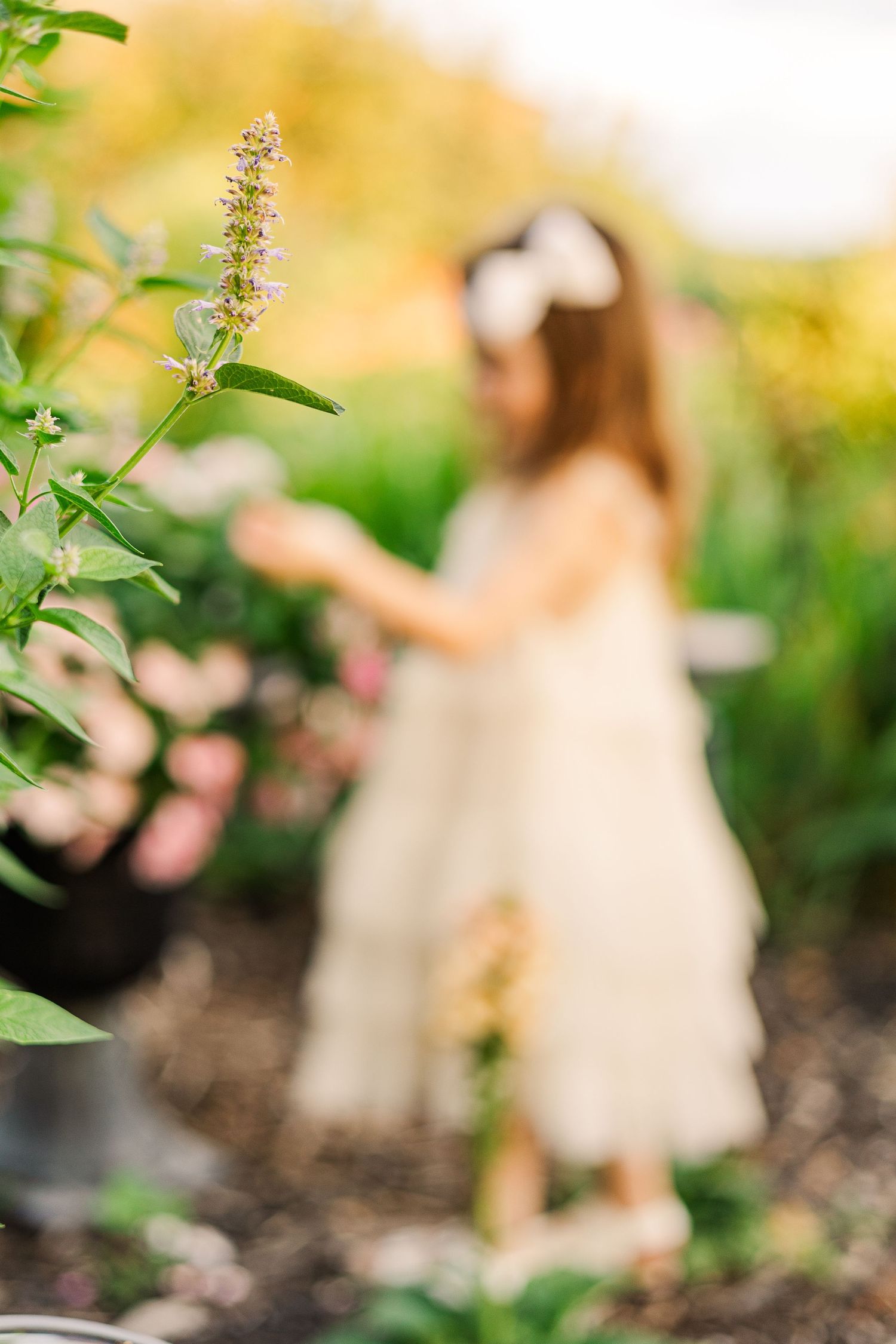 A dreamy garden scene with flowering plants in soft focus and a white dress visible in the background.