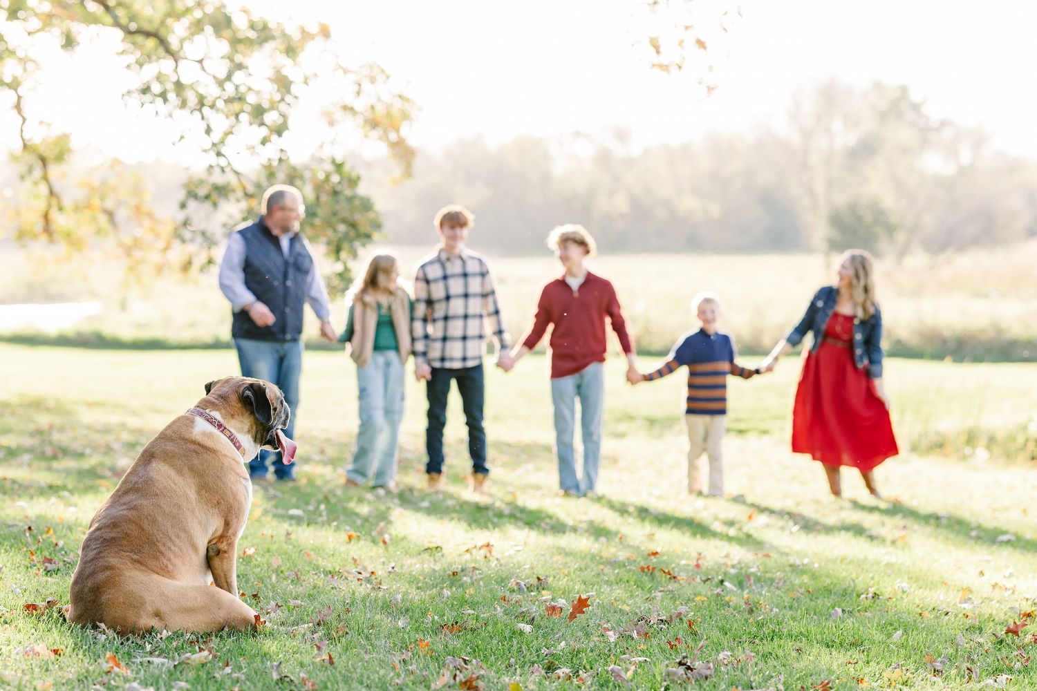 Family of six holding hands in a sunny autumn field with a large tan dog sitting in the foreground on the grass.