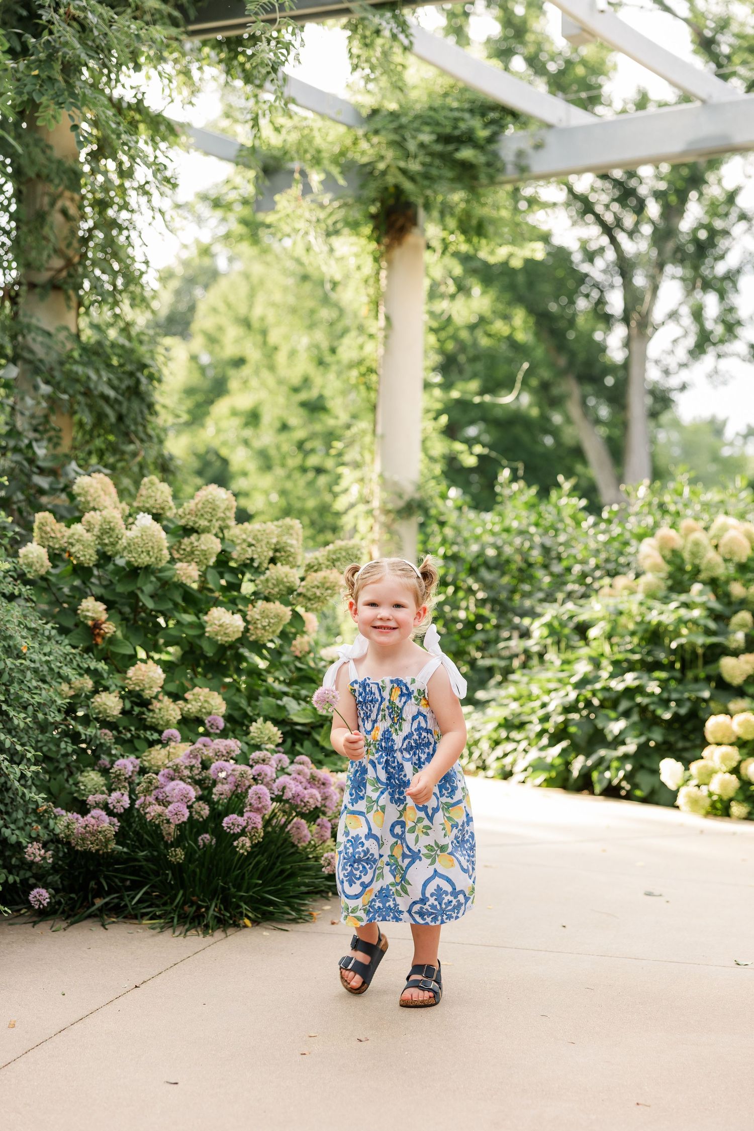 Happy toddler girl in blue floral dress running on a garden path surrounded by blooming hydrangeas.
