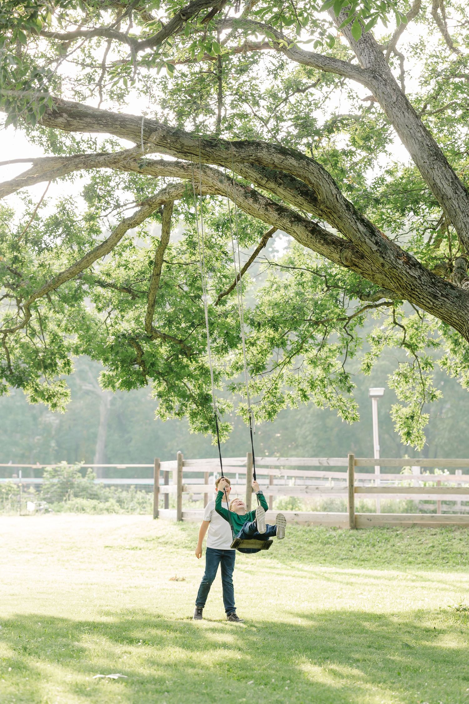 A parent pushes a child on a rope swing hanging from a large oak tree in a sunny green park.