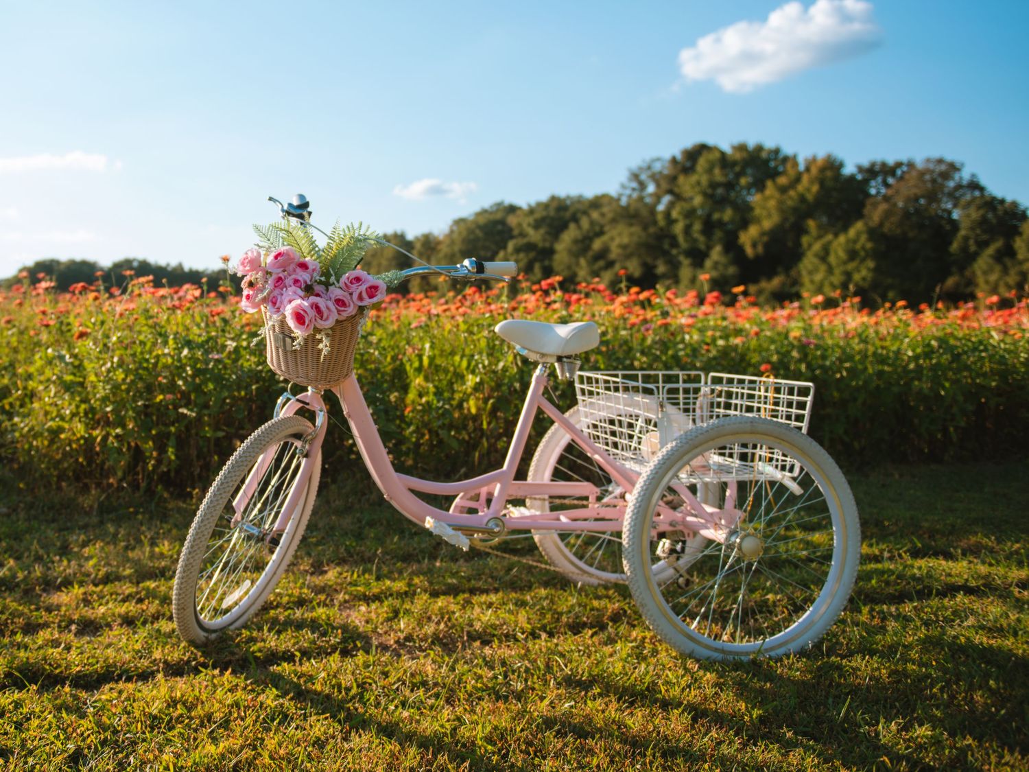 Vintage bicycle with flowers in a colorful field