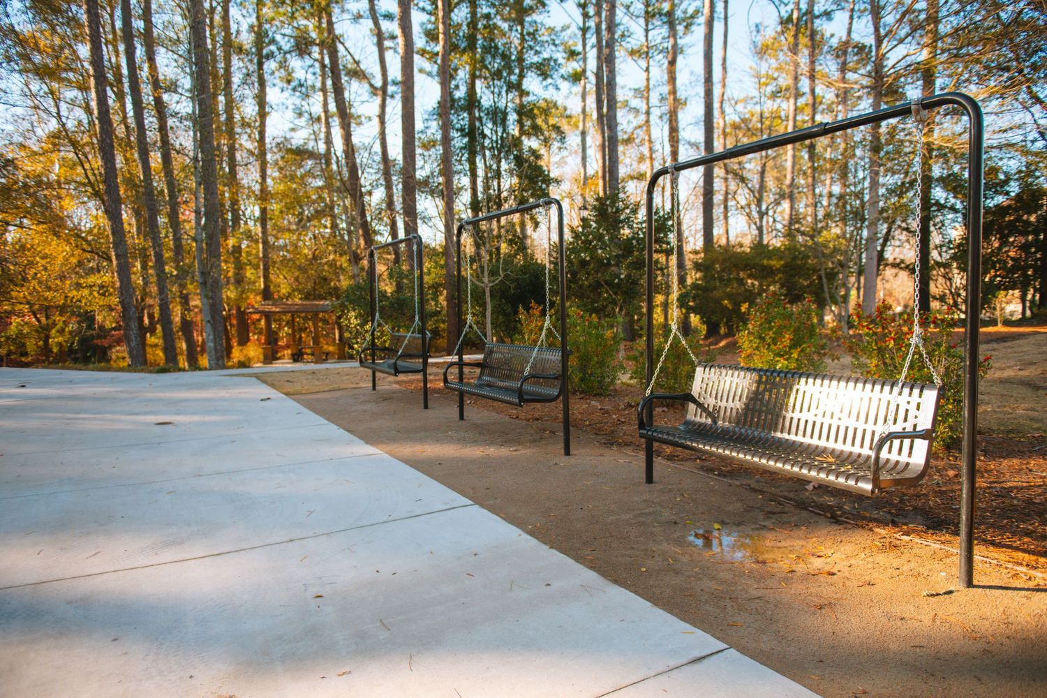 Virginia Hylton Park in Lexington SC, a peaceful family photo location with trails, trees, greenery, and natural portrait backdrops.