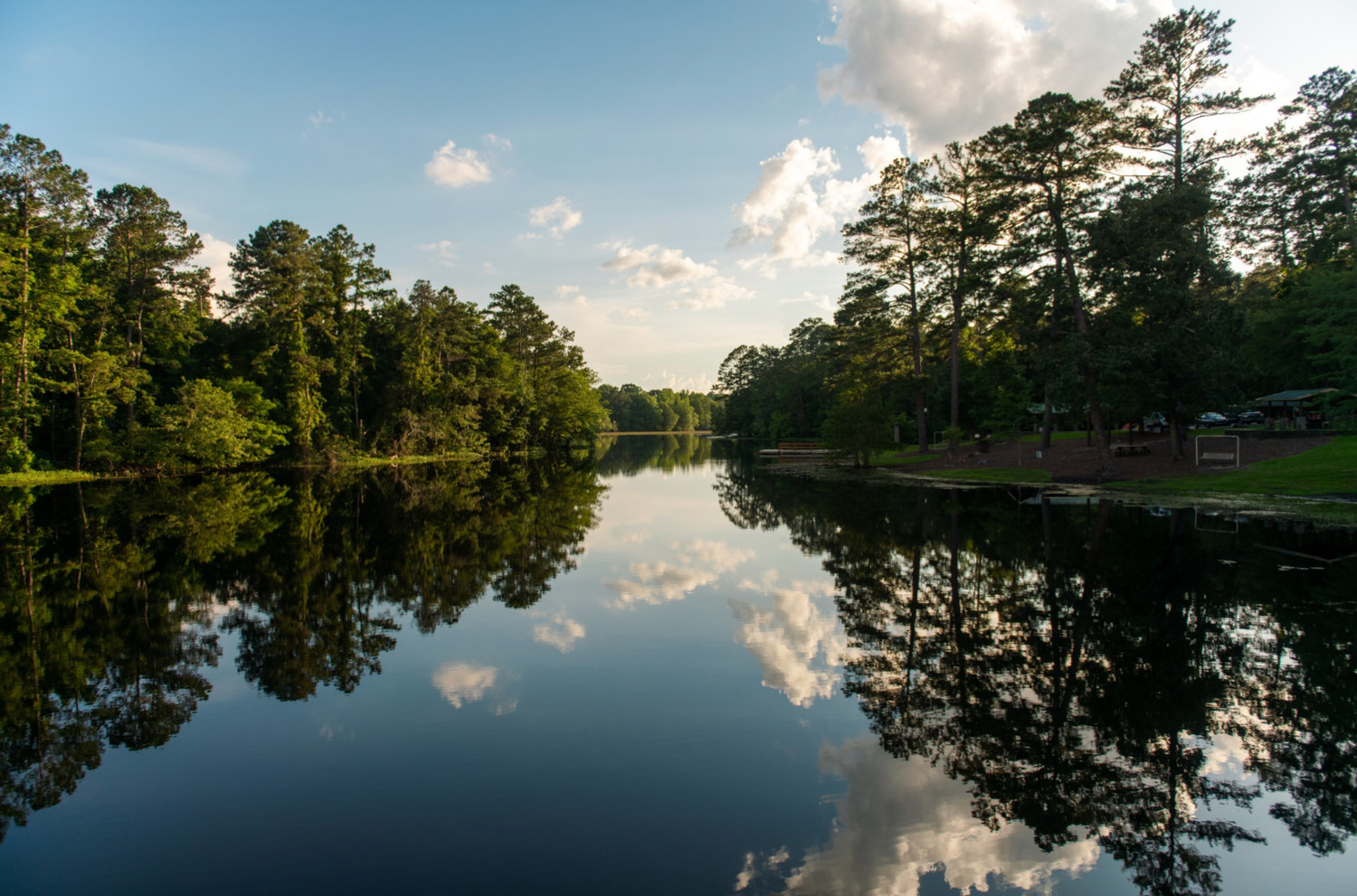 Gibson Pond Park in Lexington SC, a scenic family photo location with water views, trails, trees, and natural outdoor portraits.
