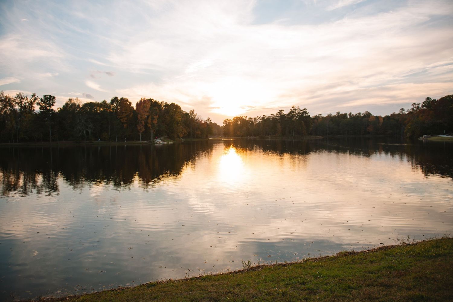Old Mill Pond in Lexington SC, a charming family photo spot with water, rustic scenery, greenery, and timeless outdoor portraits.