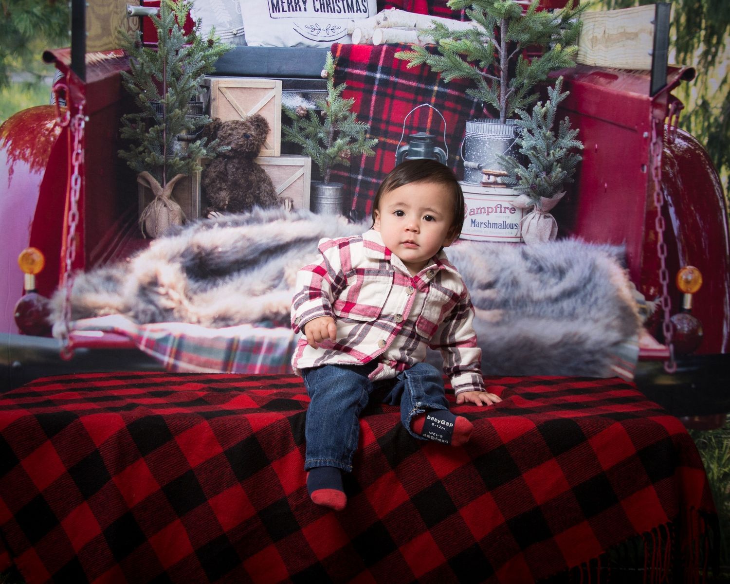 Christmas Portrait Sessions with Olivia Jean Williams. She is located in Citrus and Hernando County Florida.