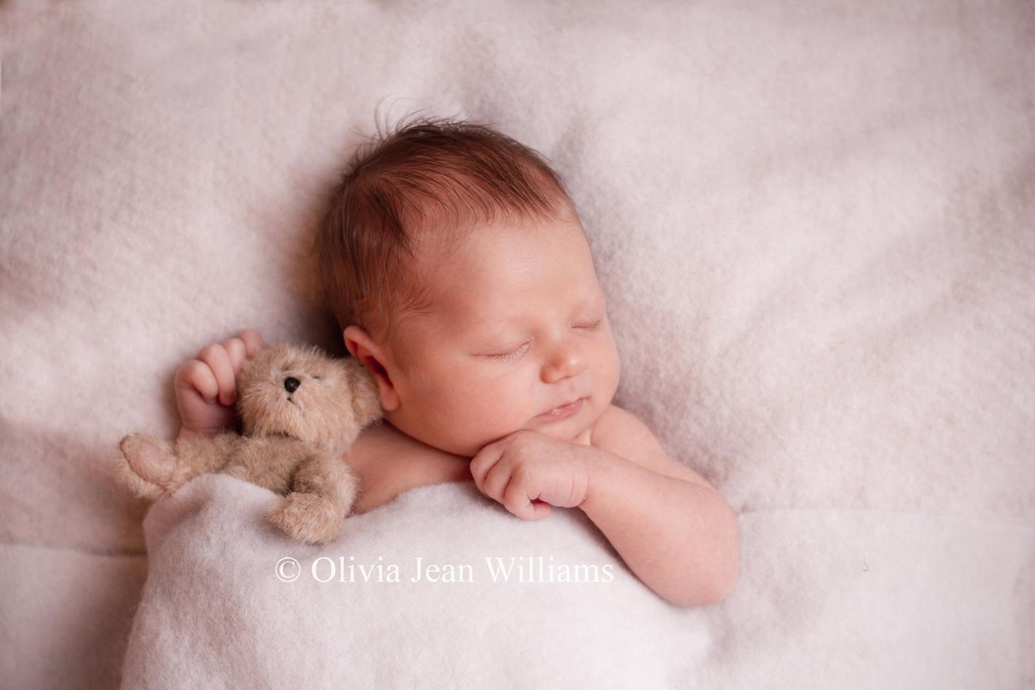 Newborn Portrait Sessions with Olivia Jean Williams. She is located in Citrus and Hernando County Florida.