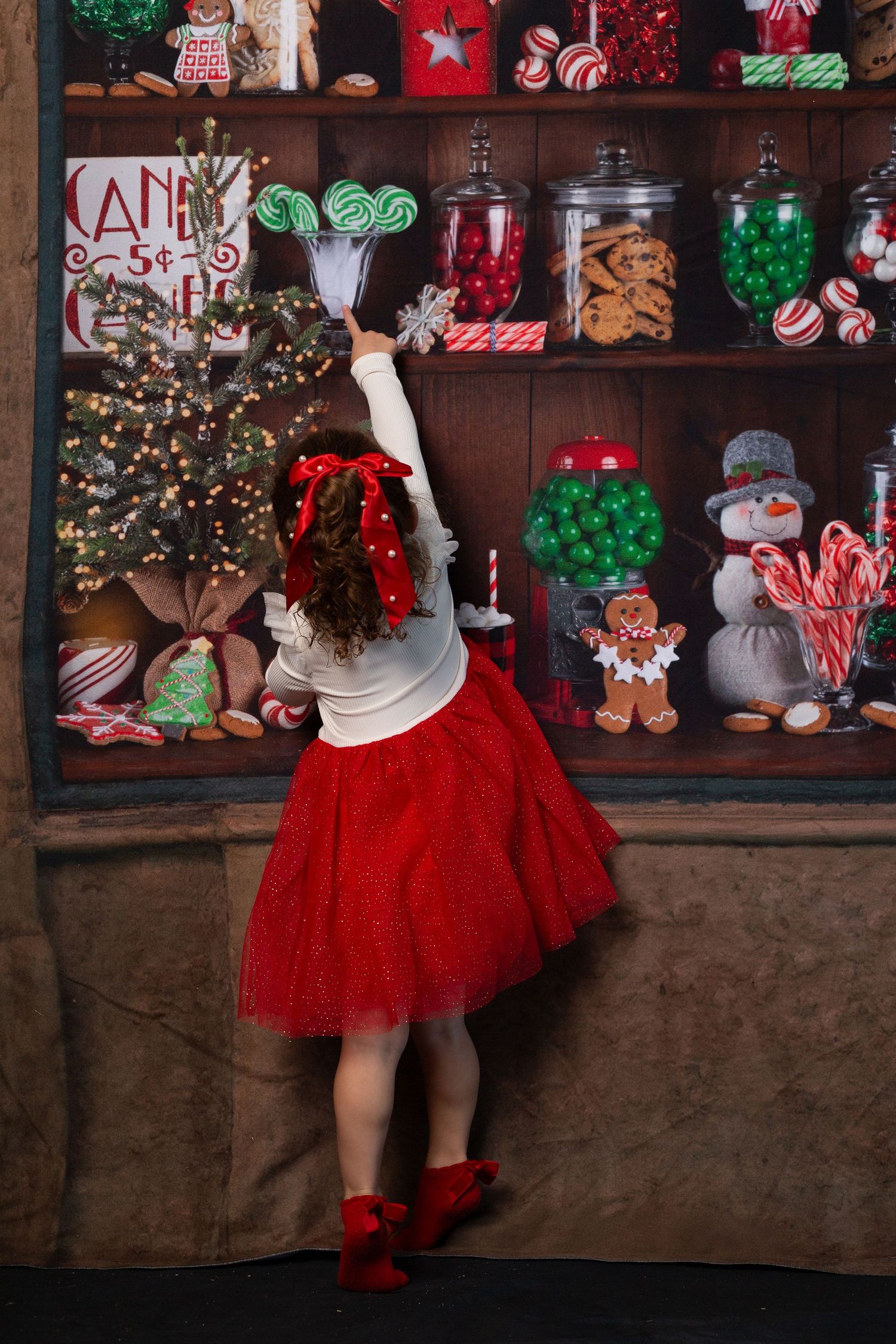Christmas Portrait Sessions with Olivia Jean Williams. She is located in Citrus and Hernando County Florida.