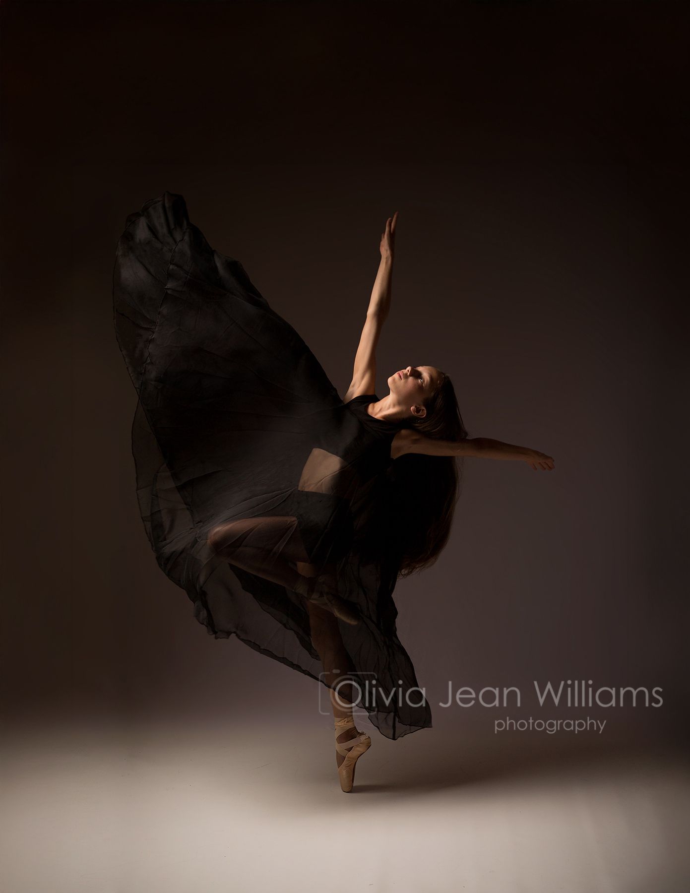 Dance Portrait Sessions with Olivia Jean Williams. She is located in Citrus and Hernando County Florida.