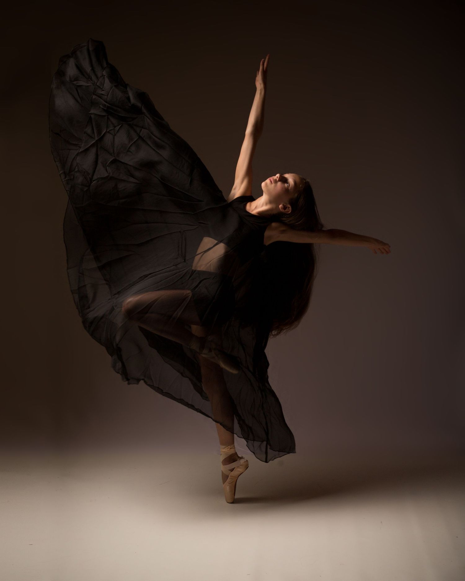 Dance Portrait Sessions with Olivia Jean Williams. She is located in Citrus and Hernando County Florida.