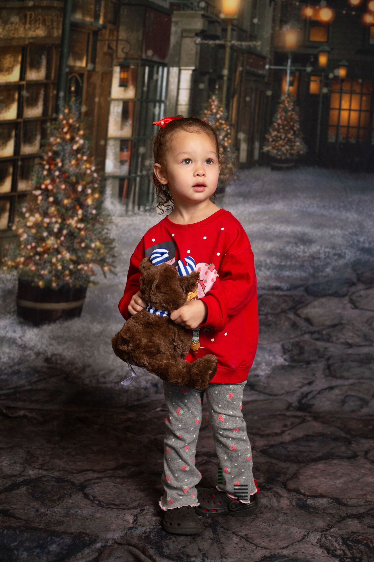 Christmas Portrait Sessions with Olivia Jean Williams. She is located in Citrus and Hernando County Florida.