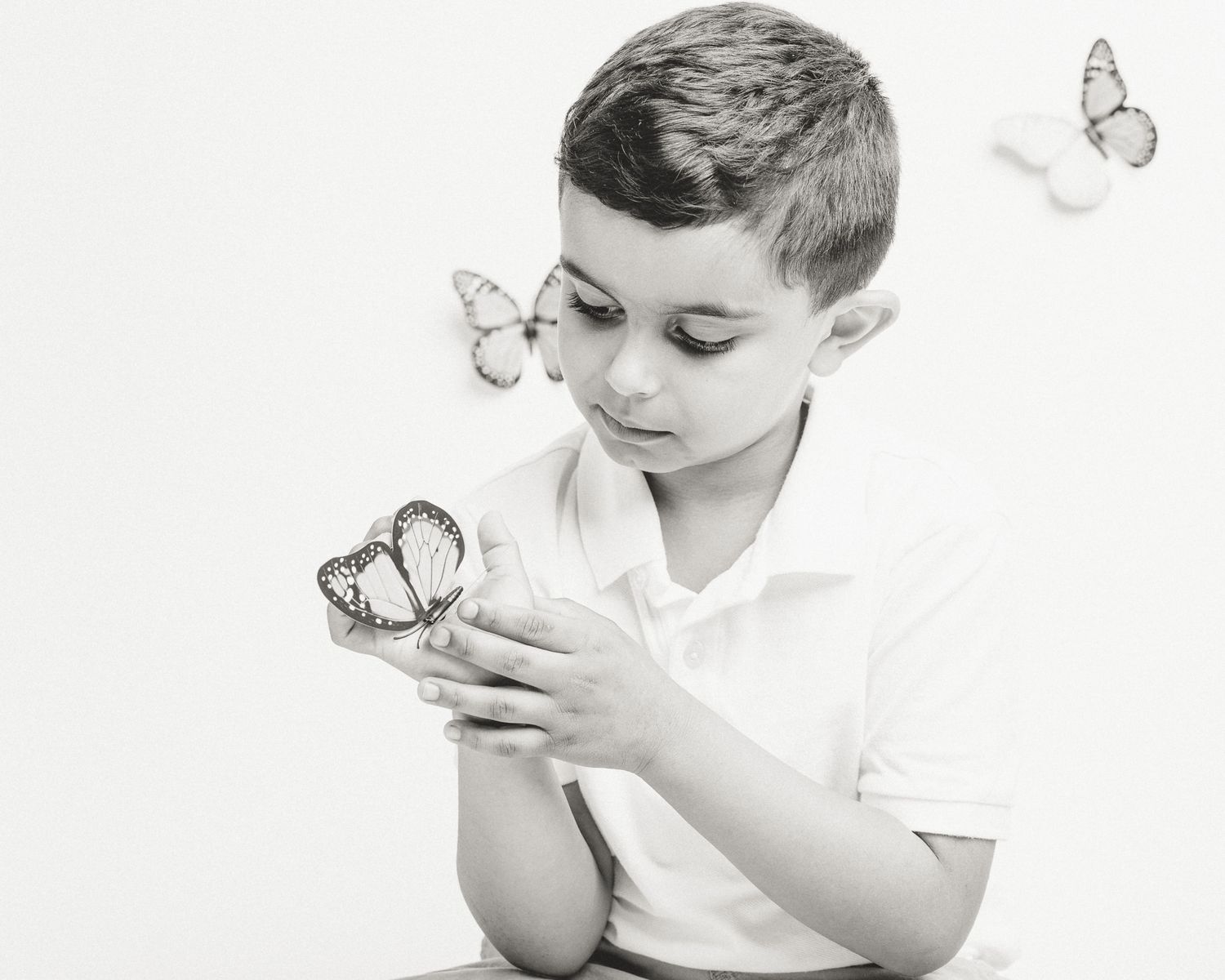 Boy examining a butterfly in his hands, studio session, Connecticut children's photography