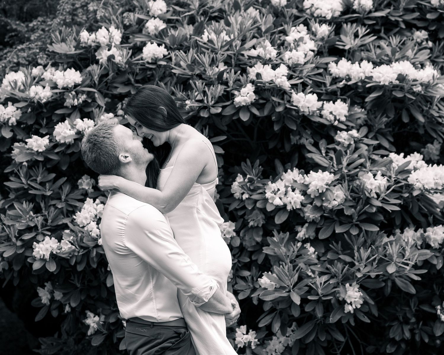Couple lift shot in front of rhododendron bush, New Haven County elopement photography