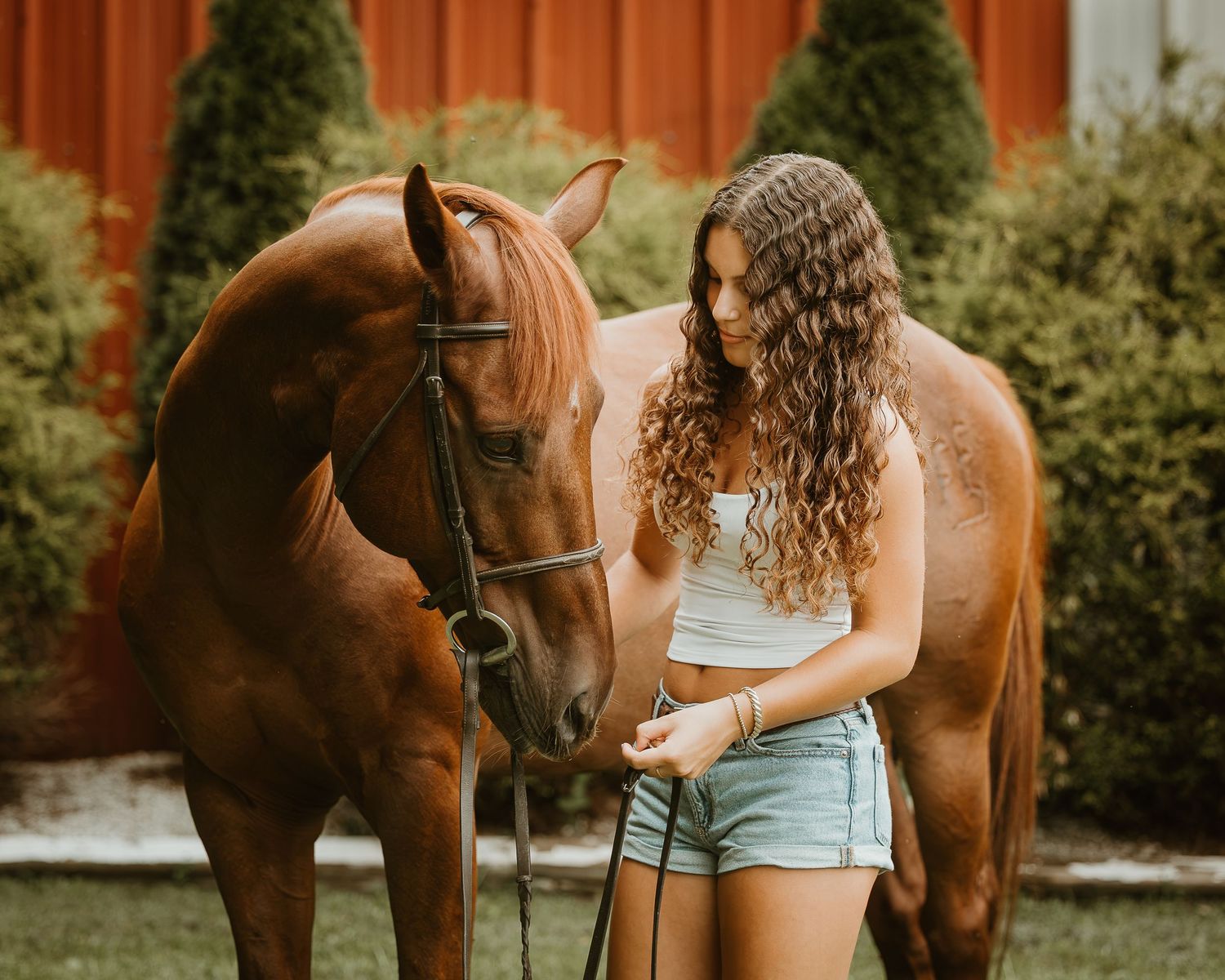 Young equestrian sharing a quiet moment with her horse during a Connecticut horse and rider portrait session.