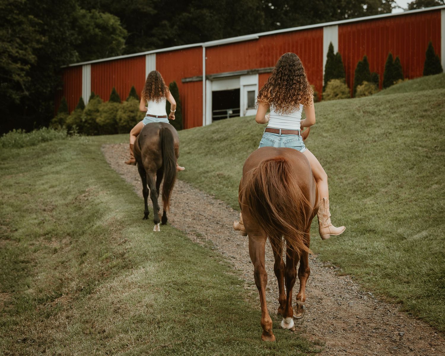 Twin high school seniors riding their horses toward the barn during an equestrian portrait session in Connecticut