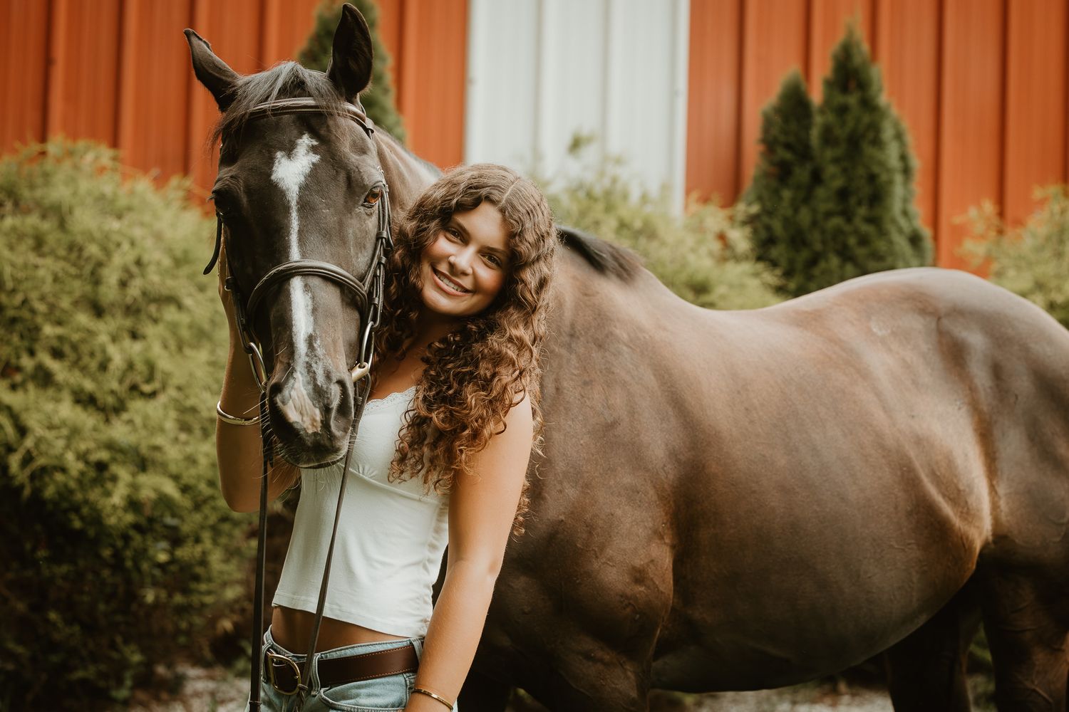 Equestrian senior portrait with a dark horse at Whispering Willow in Durham, Connecticut