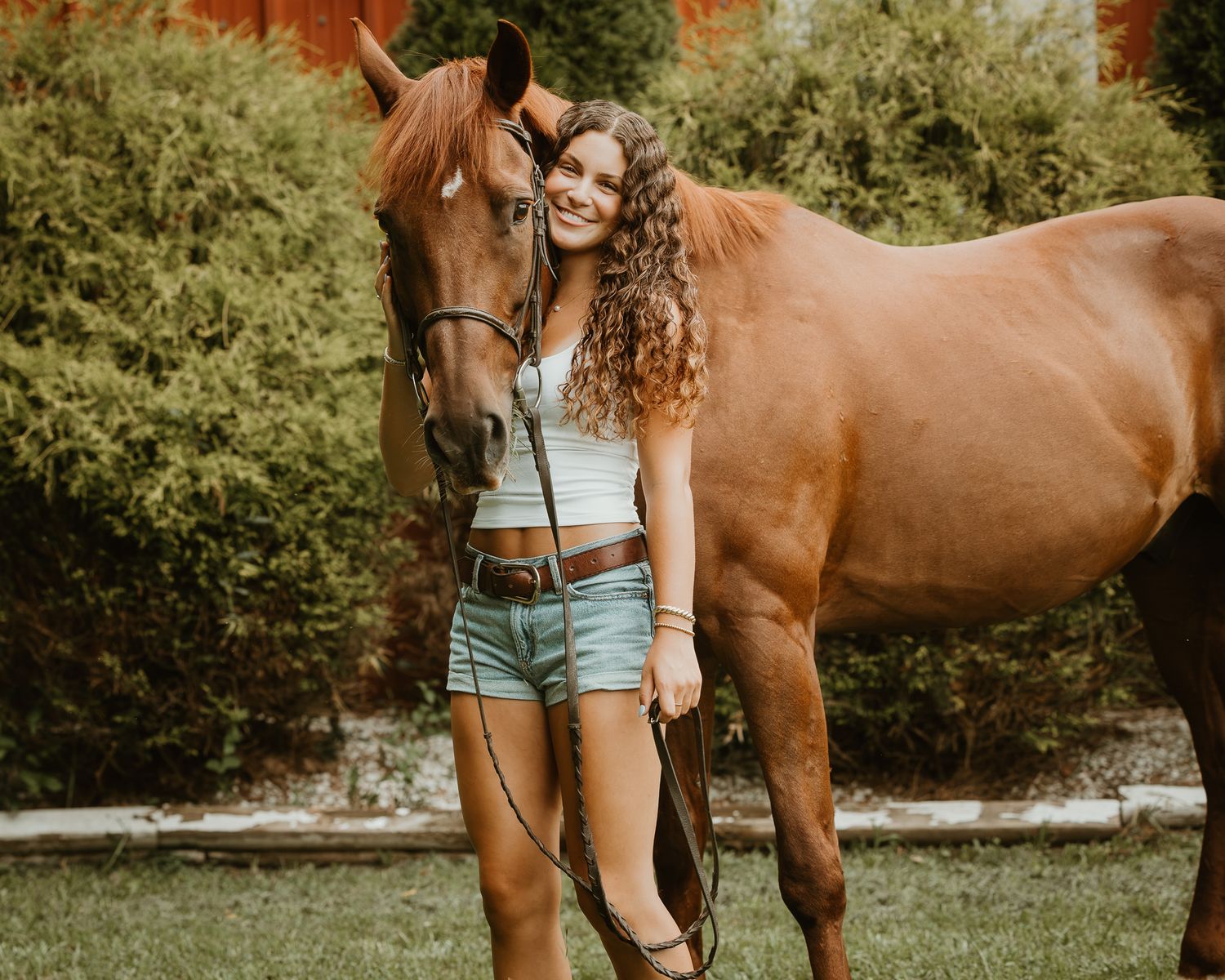 Connecticut equestrian senior portrait of a high school senior with her chestnut horse
