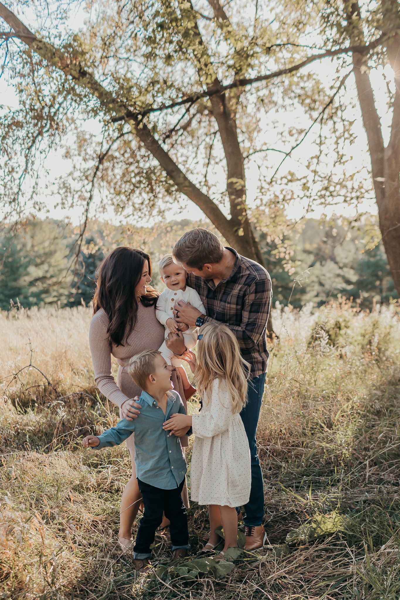 Five outdoor family photos taken in a sunlit field with tall grass and trees.