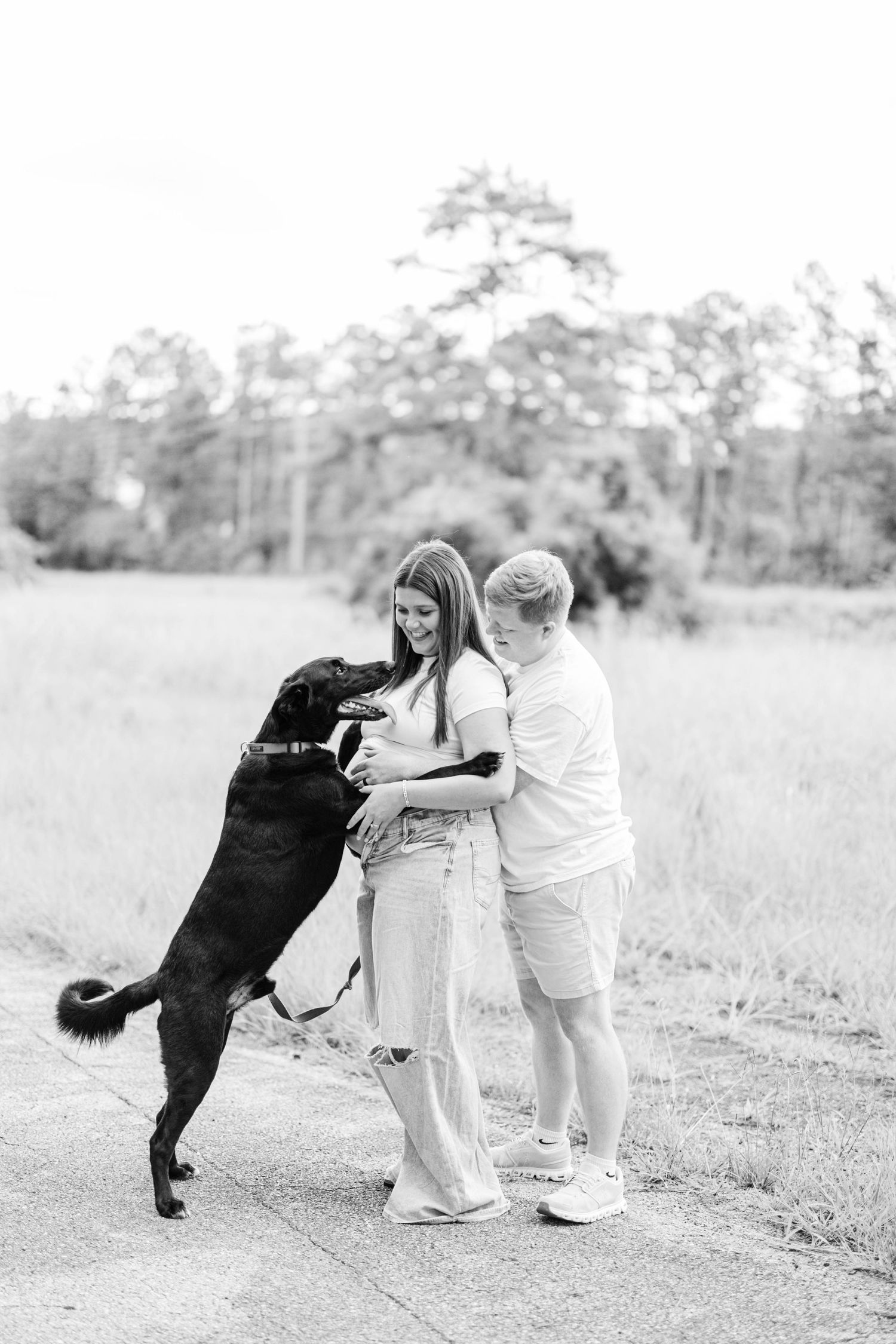 Black and white photo of a couple with a large black dog jumping up on them outdoors near a field.