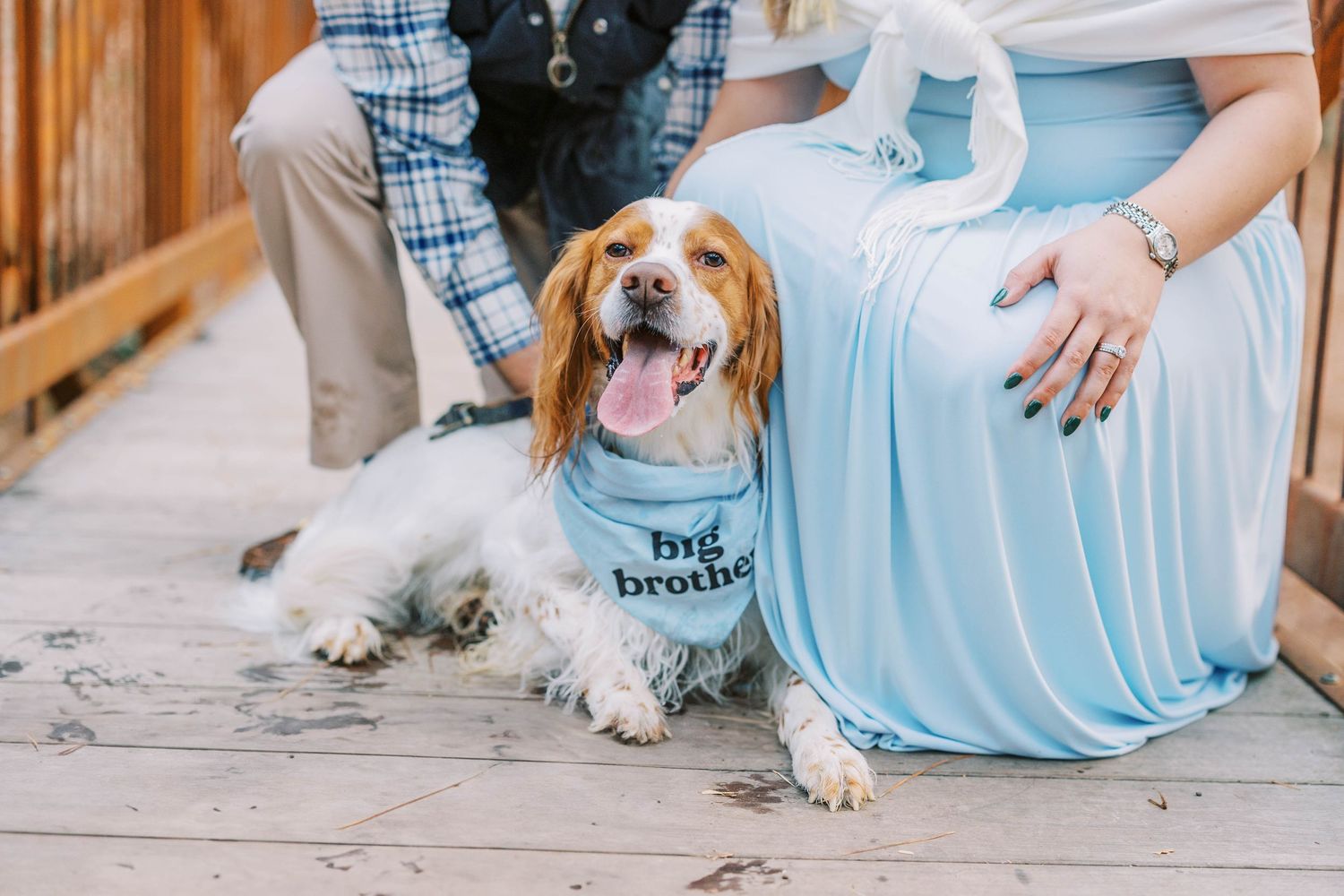 A white dog sits next to someone wearing a blue dress while holding ultrasound photos outdoors.