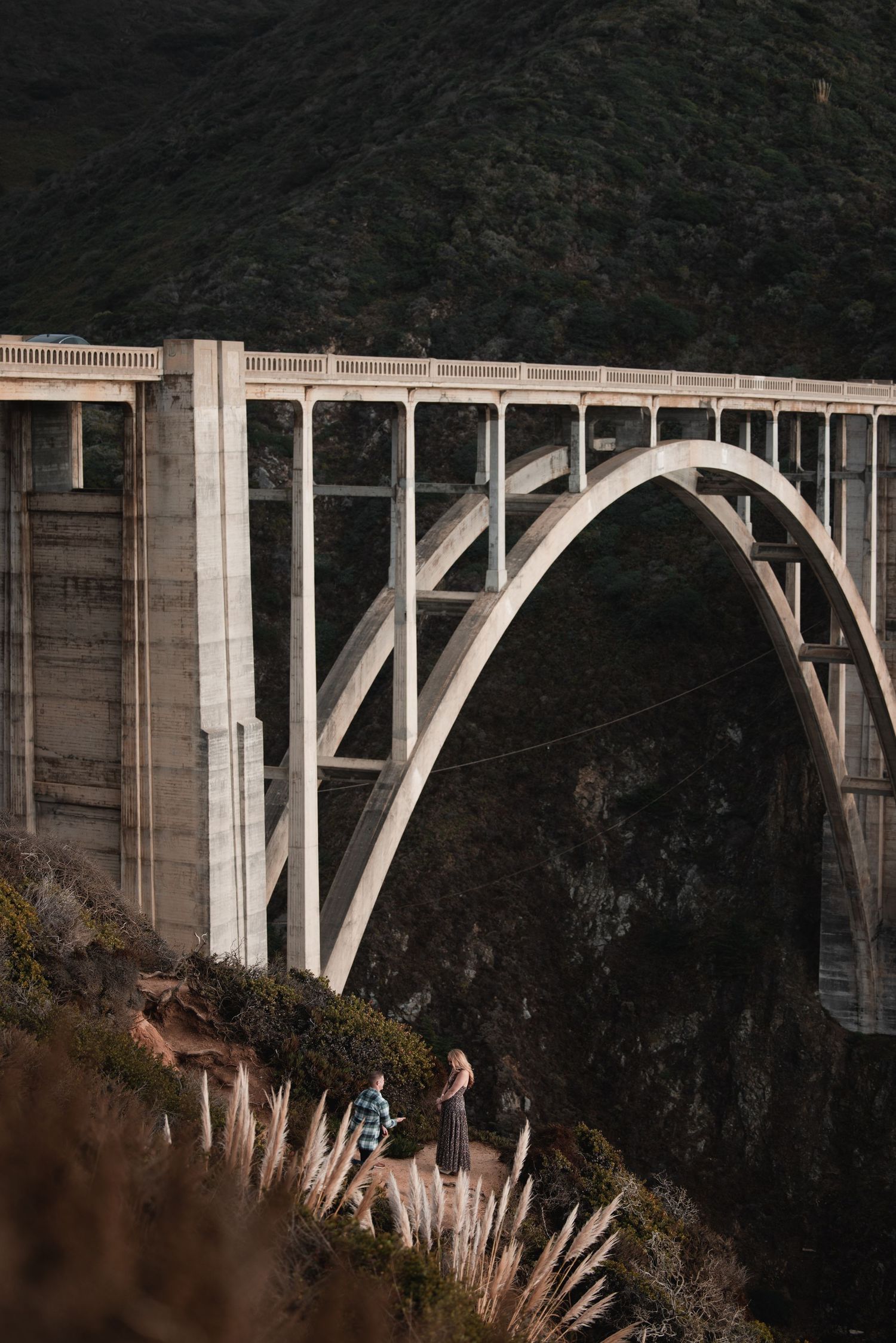 Scenic view of Bixby Creek Bridge in Big Sur, California with dramatic coastal cliffs and architectural details.